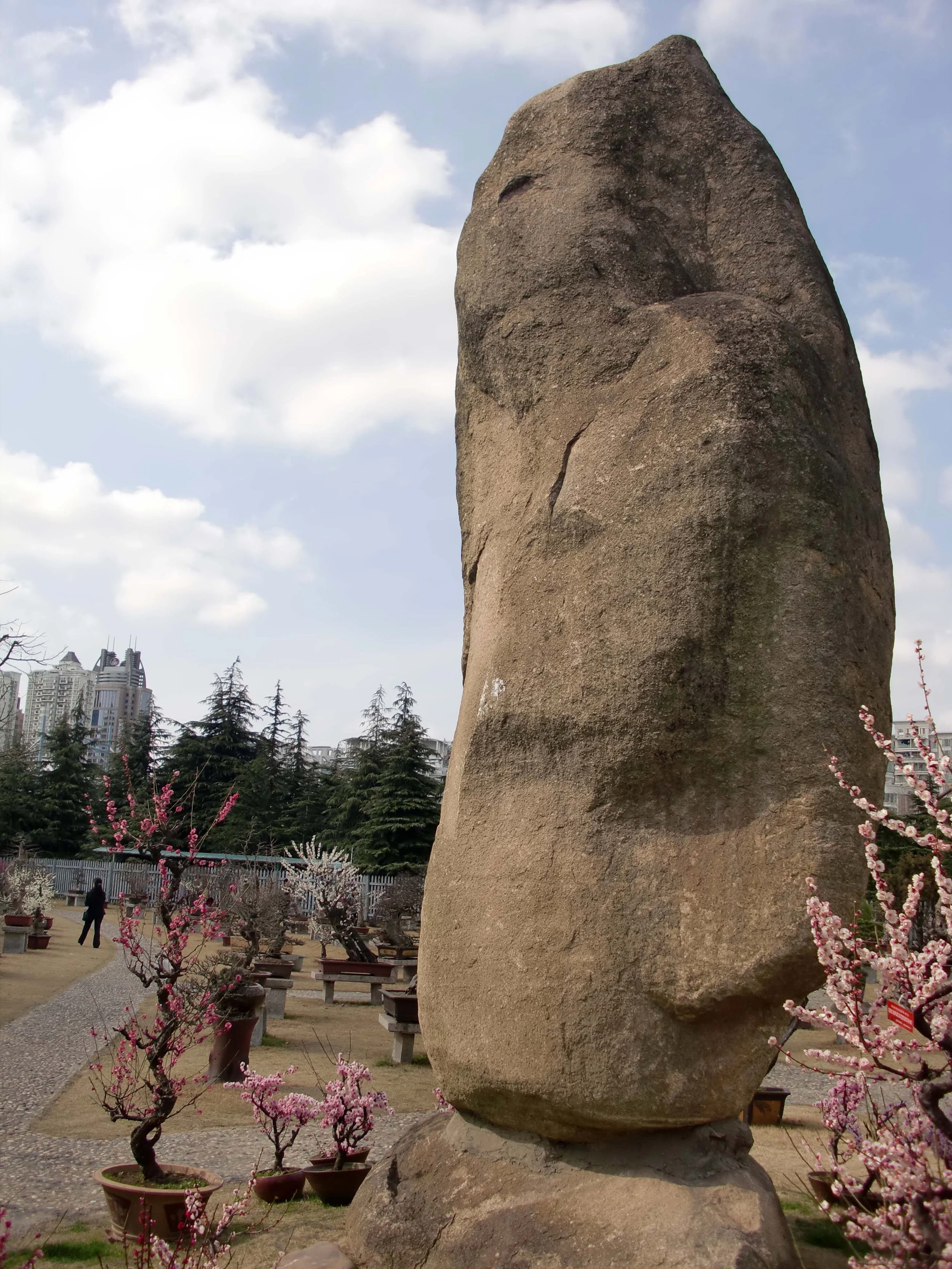 2011-3-13 CENTURY PARK SHANGHAI (35).JPG