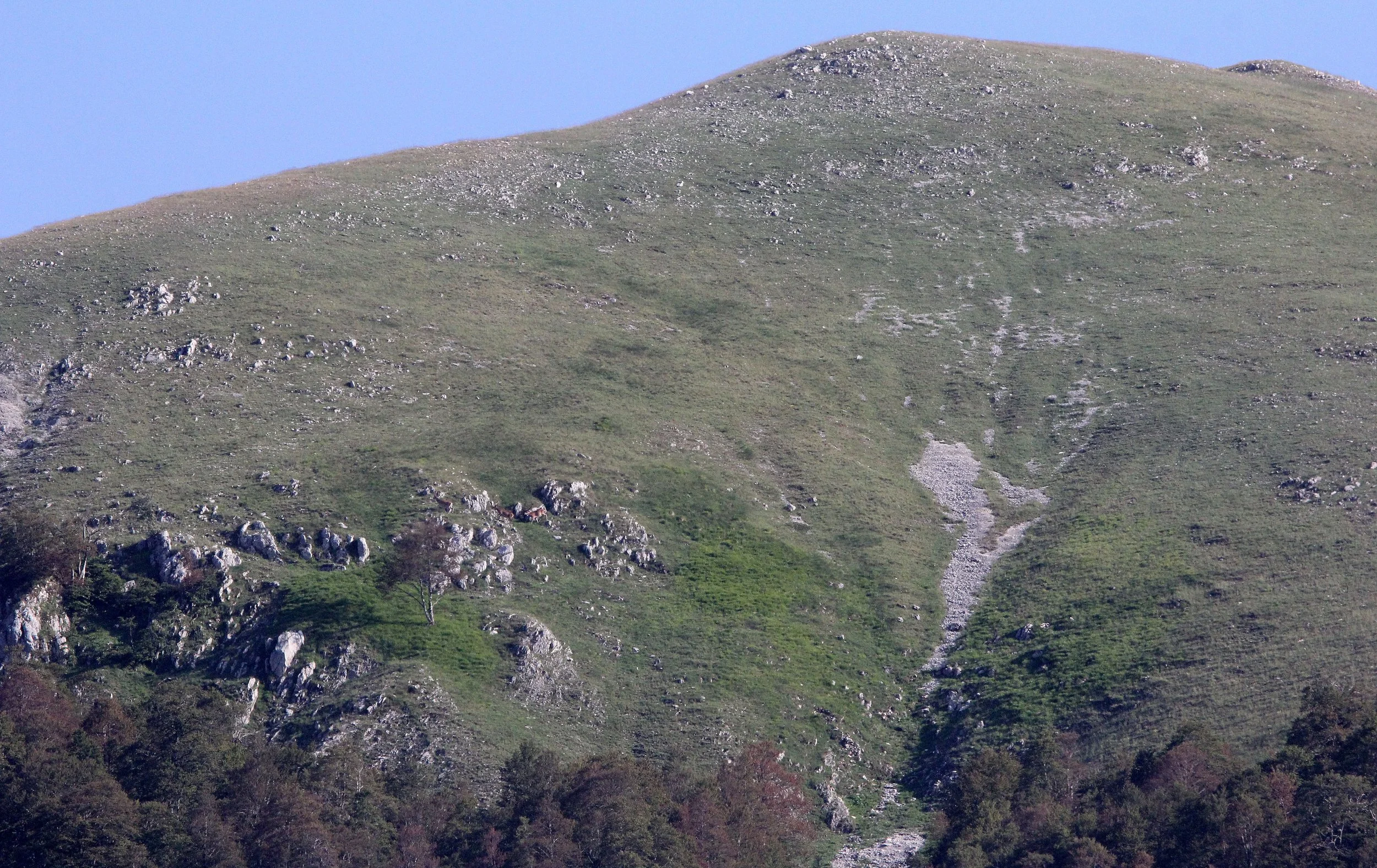 ABRUZZO NATIONAL PARK ITALY (173).JPG