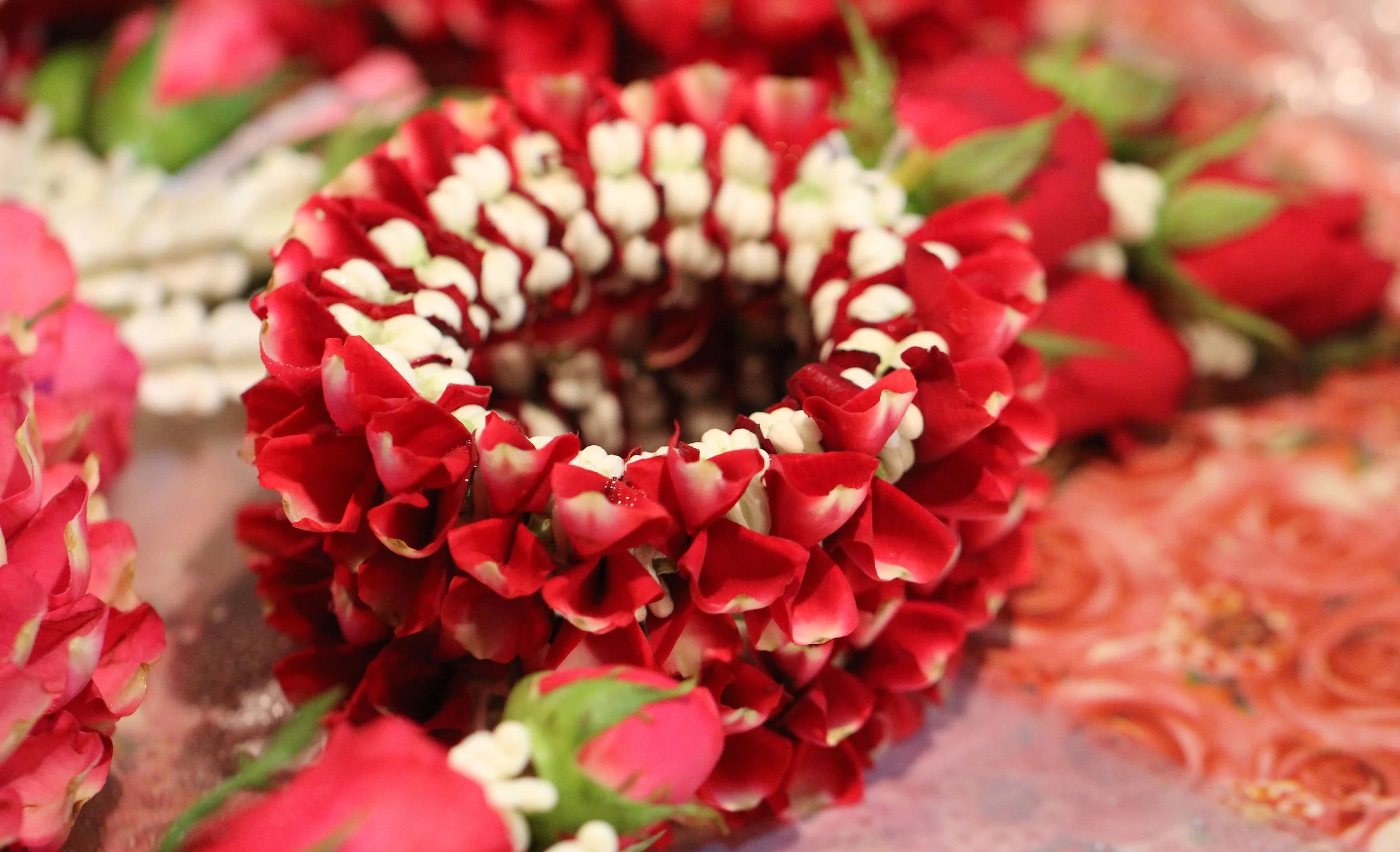 2016 Bangkok Pak Klong Flower Market at 2AM (87).JPG