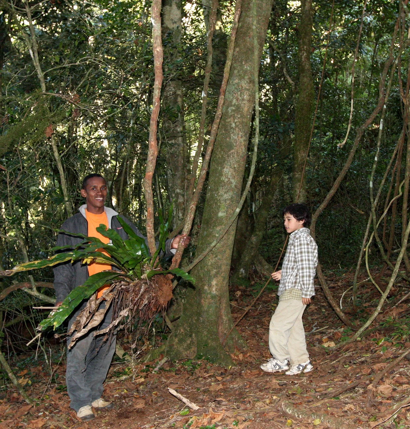 MONTAGNE D'AMBRE NATIONAL PARK - SWINGING ON THE LIANA (5).JPG