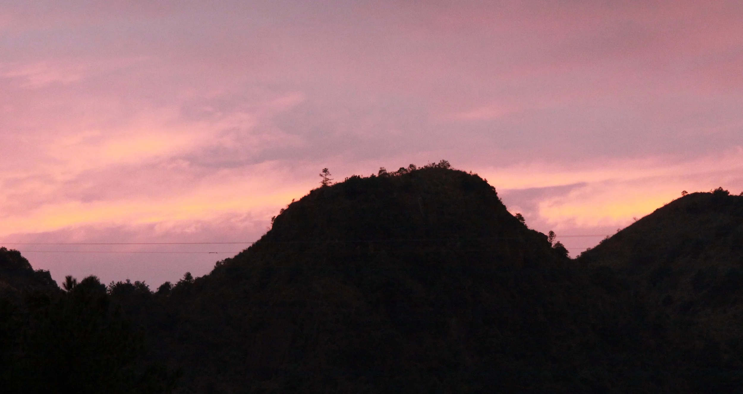 MEIHUASHAN - FUJIAN CHINA (96).JPG