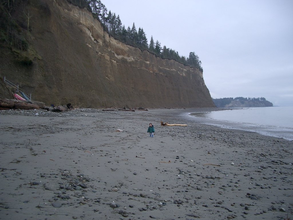 2004-1-18 LAKE FARM DAY ON THE BEACH (24).JPG
