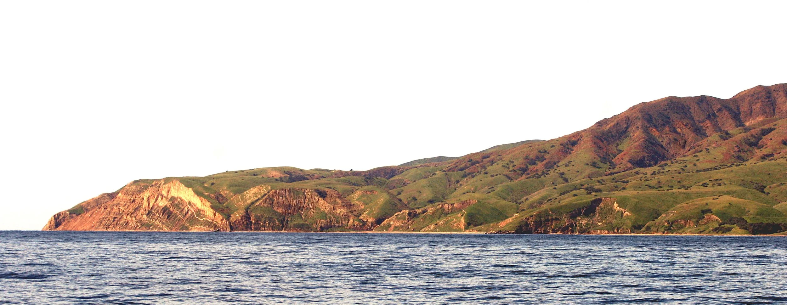 CALIFORNIA - CHANNEL ISLANDS NP - SANT CRUZ ISLAND (11).jpg