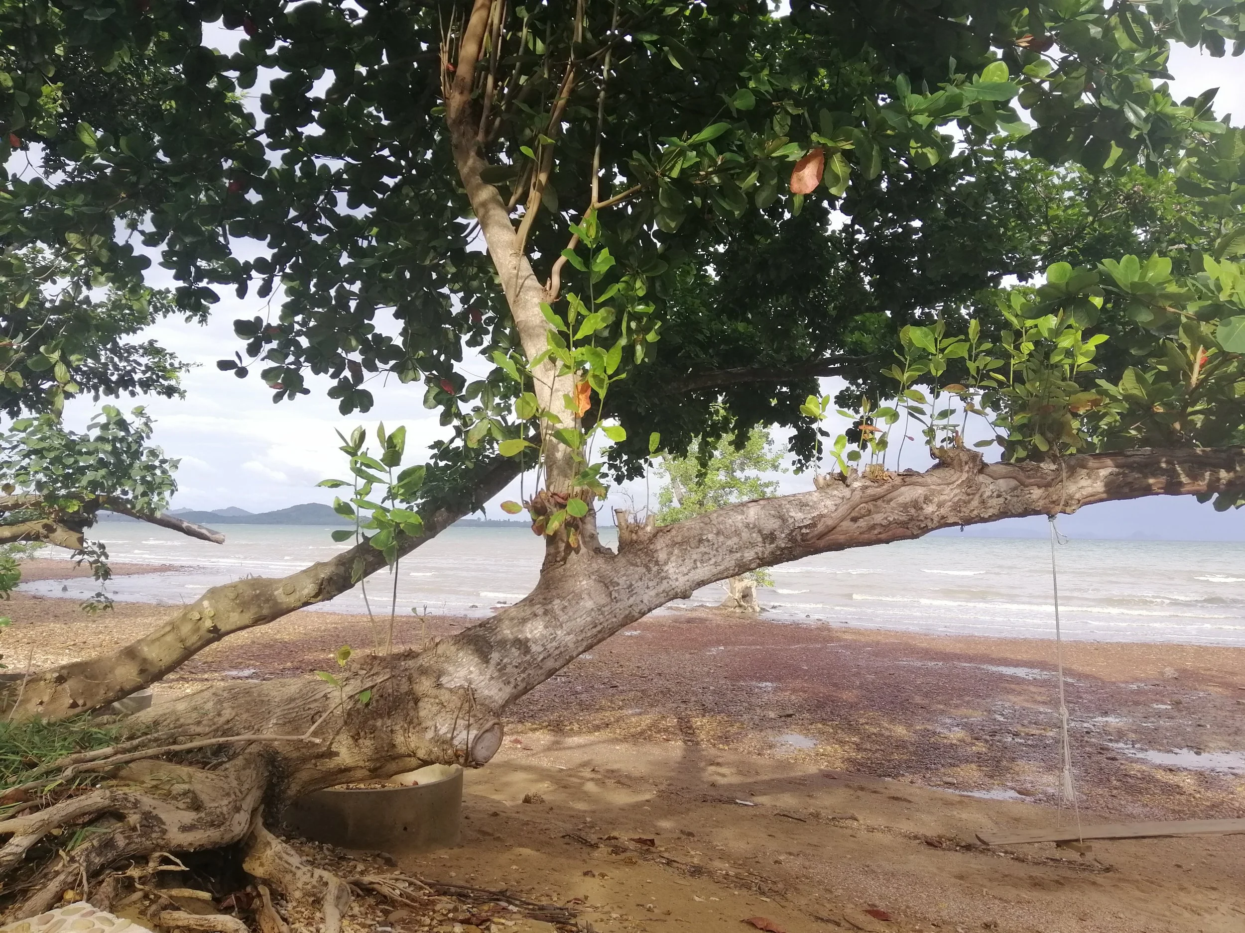 2018 Koh Lanta Misc  (21).jpg