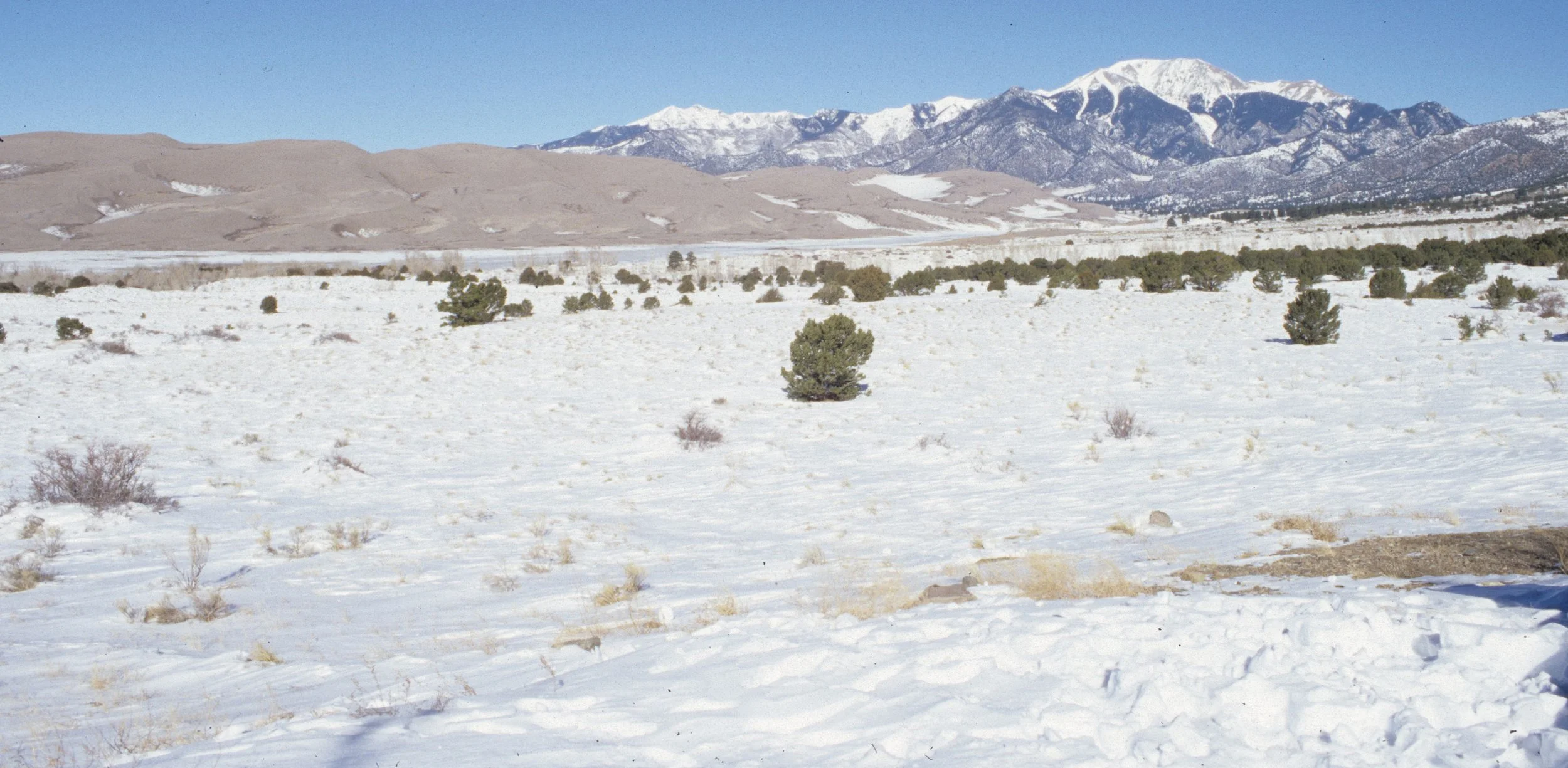 COLORADO DUNES NM A.jpg
