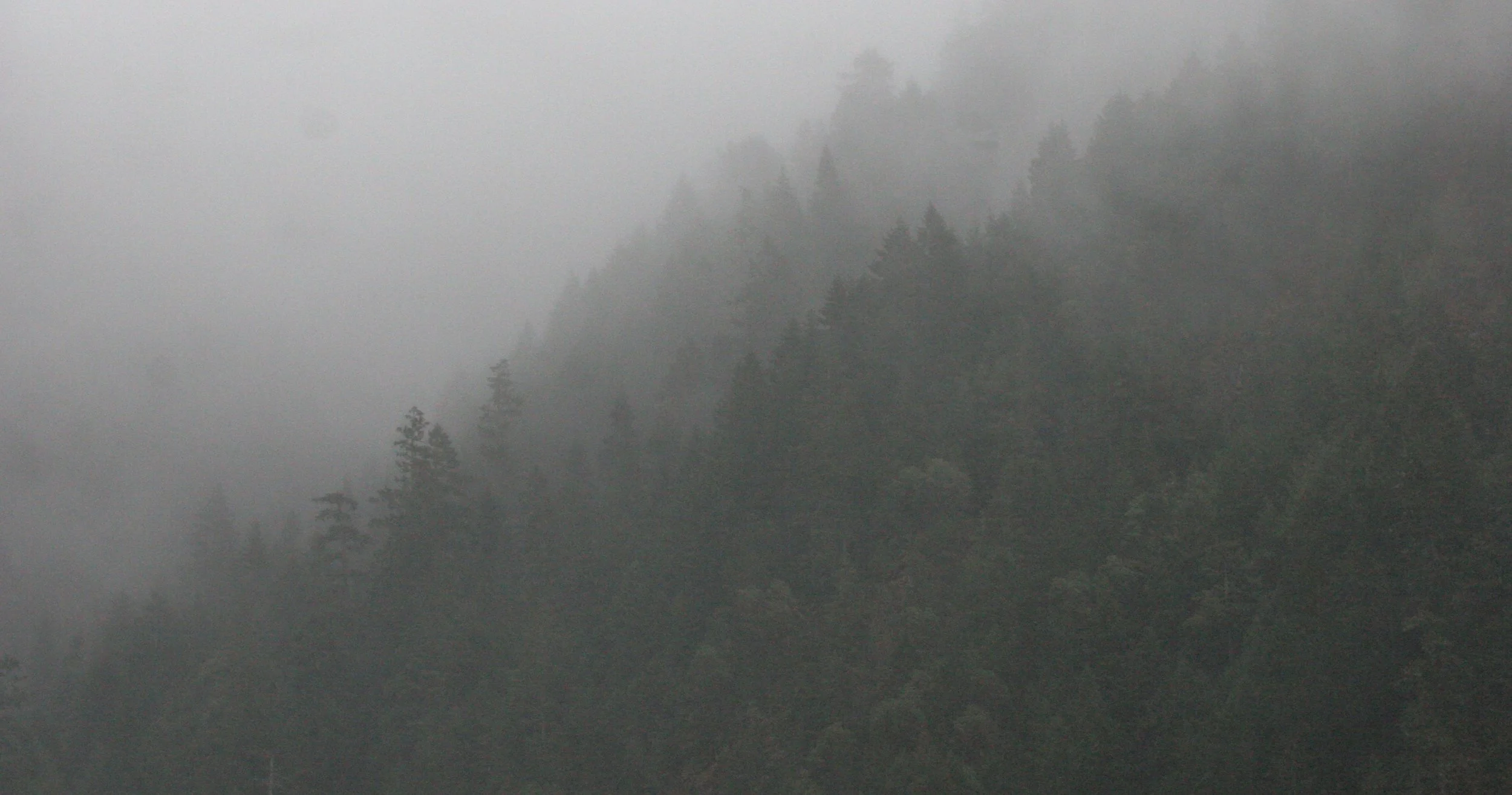 CRESCENT LAKE FOG ON MOUNTAINS (4).JPG