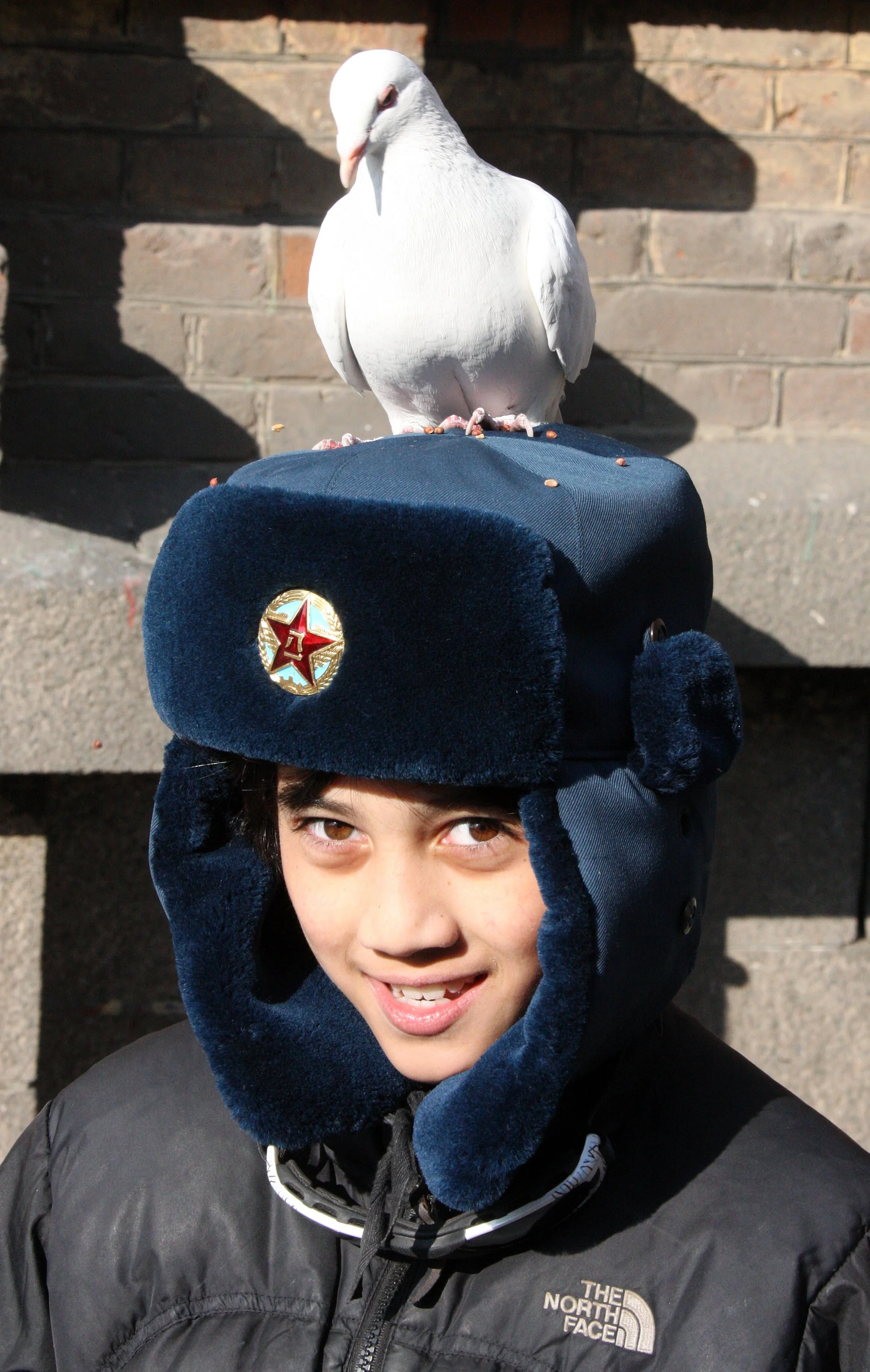 BIRD - PIGEON - HARBIN SAINT SOPHIA'S CATHEDRAL CHINA (74).JPG