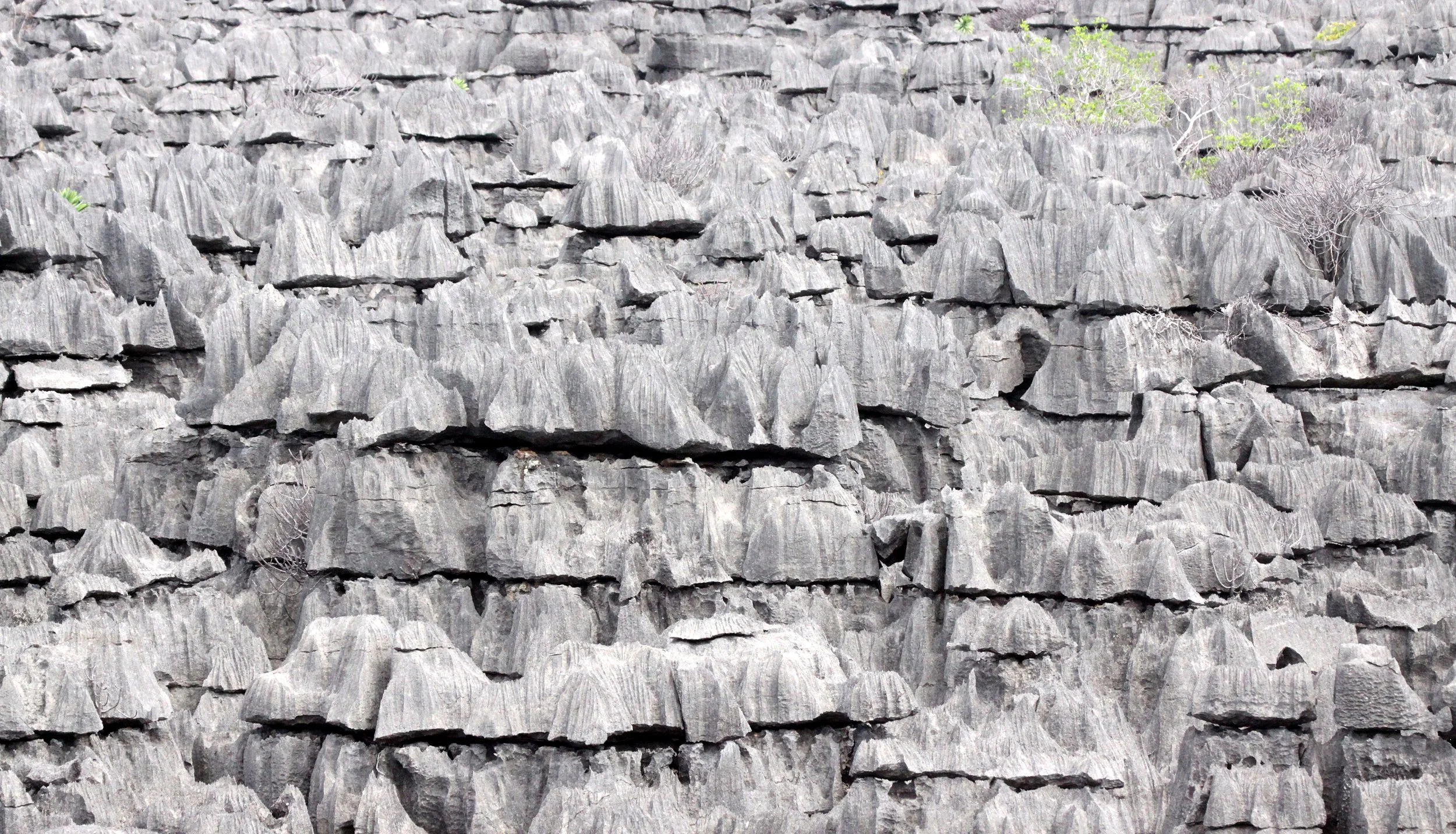 ANKARANA NATIONAL PARK MADAGASCAR - TSINGY FOREST (32).JPG