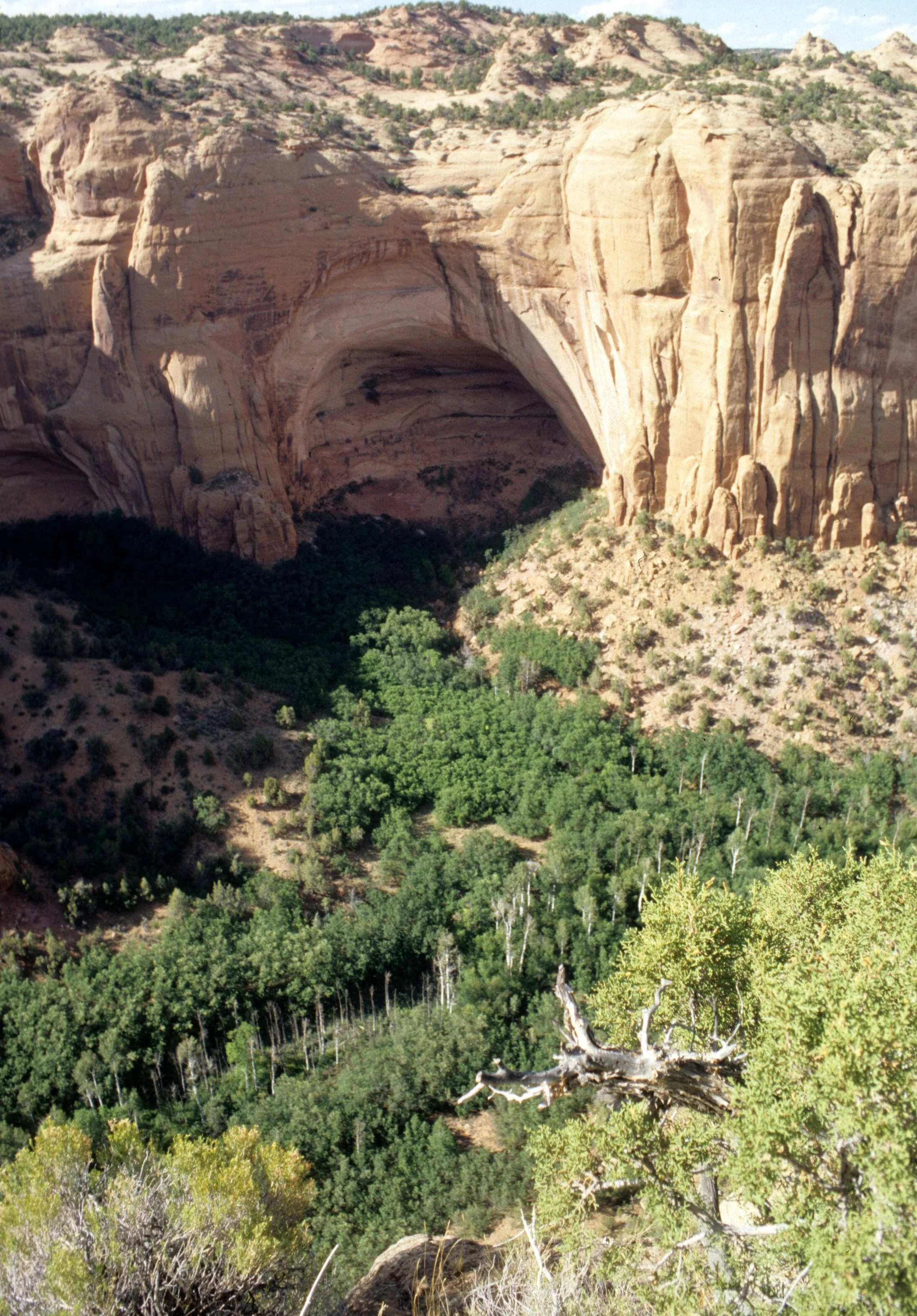 ANASAZILAND - NAVAJO NM G.jpg
