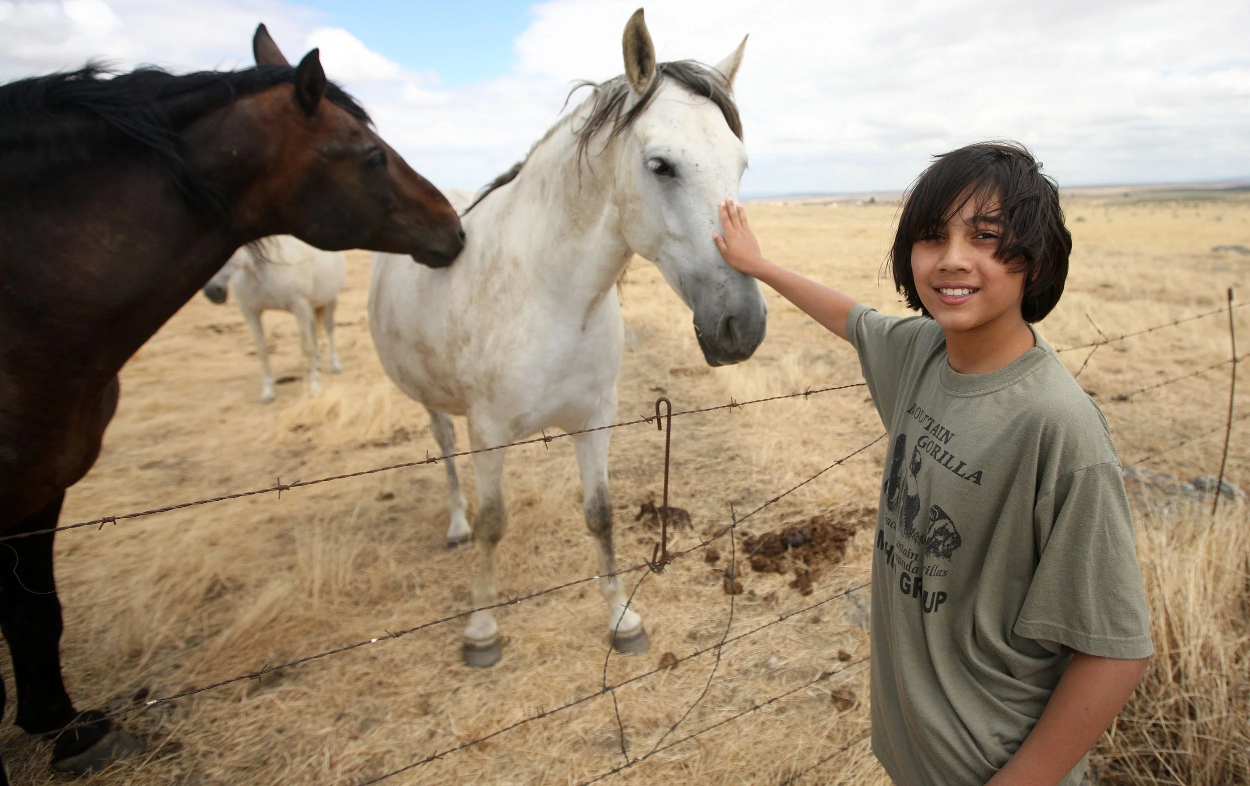 Equus ferus caballus - DOMESTIC HORSE - MALPARTIDA & MIRABELA GRASSLANDS SPAIN (21).JPG