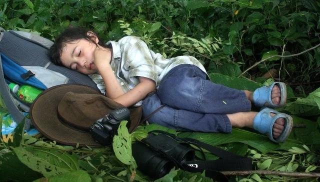 Cokie catching some zzz's in Huai Kha Khaeng