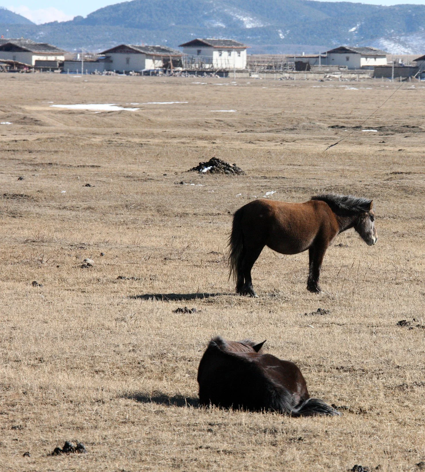 YUNNAN - TIBETAN VILLAGES NEAR NAPAHAI & SHANGRILA (14).JPG