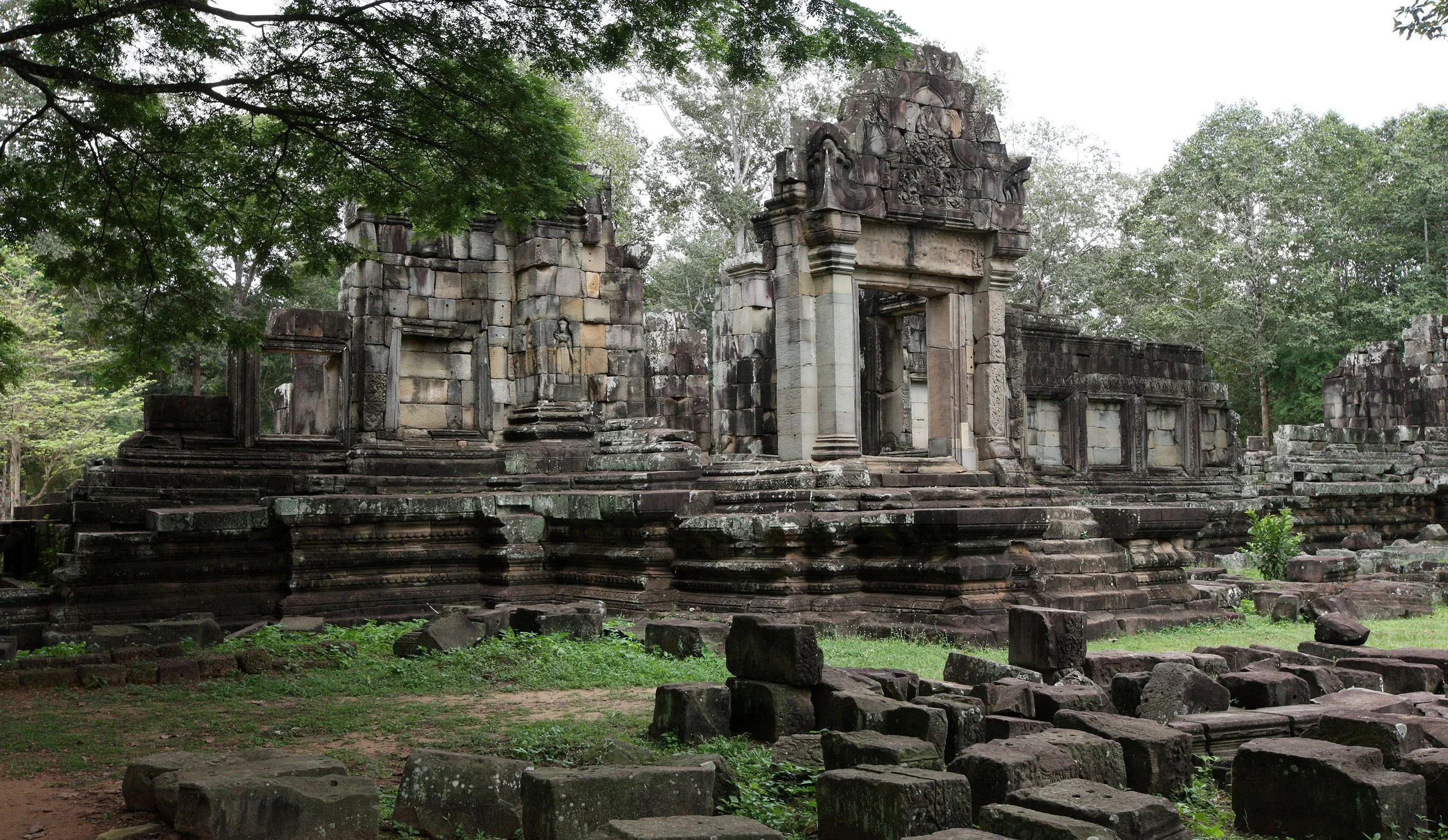 ELEPHANT TERRACE (1).JPG