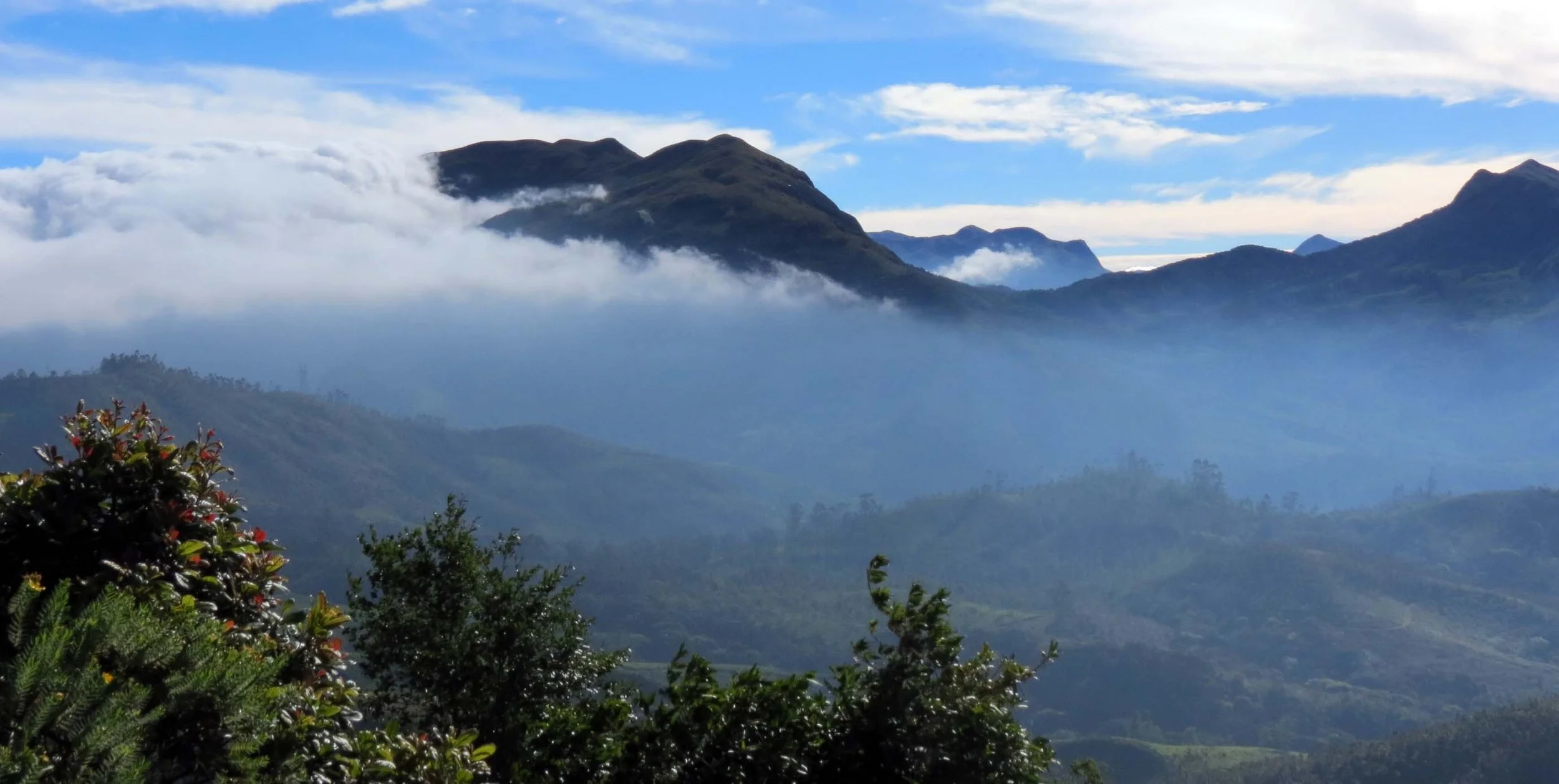 ERAVIKULUM NATIONAL PARK INDIA (4).JPG