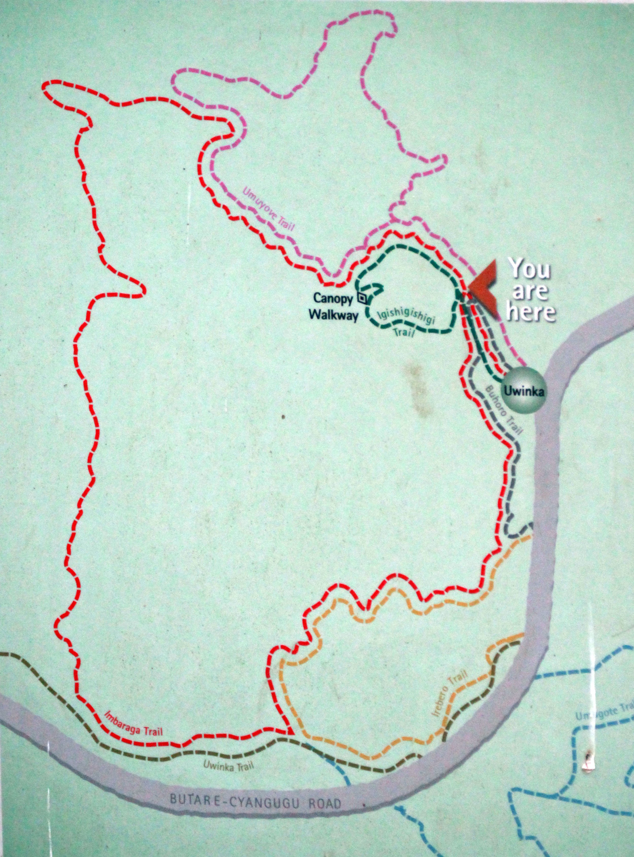 NYUNGWE NATIONAL PARK RWANDA (532).JPG