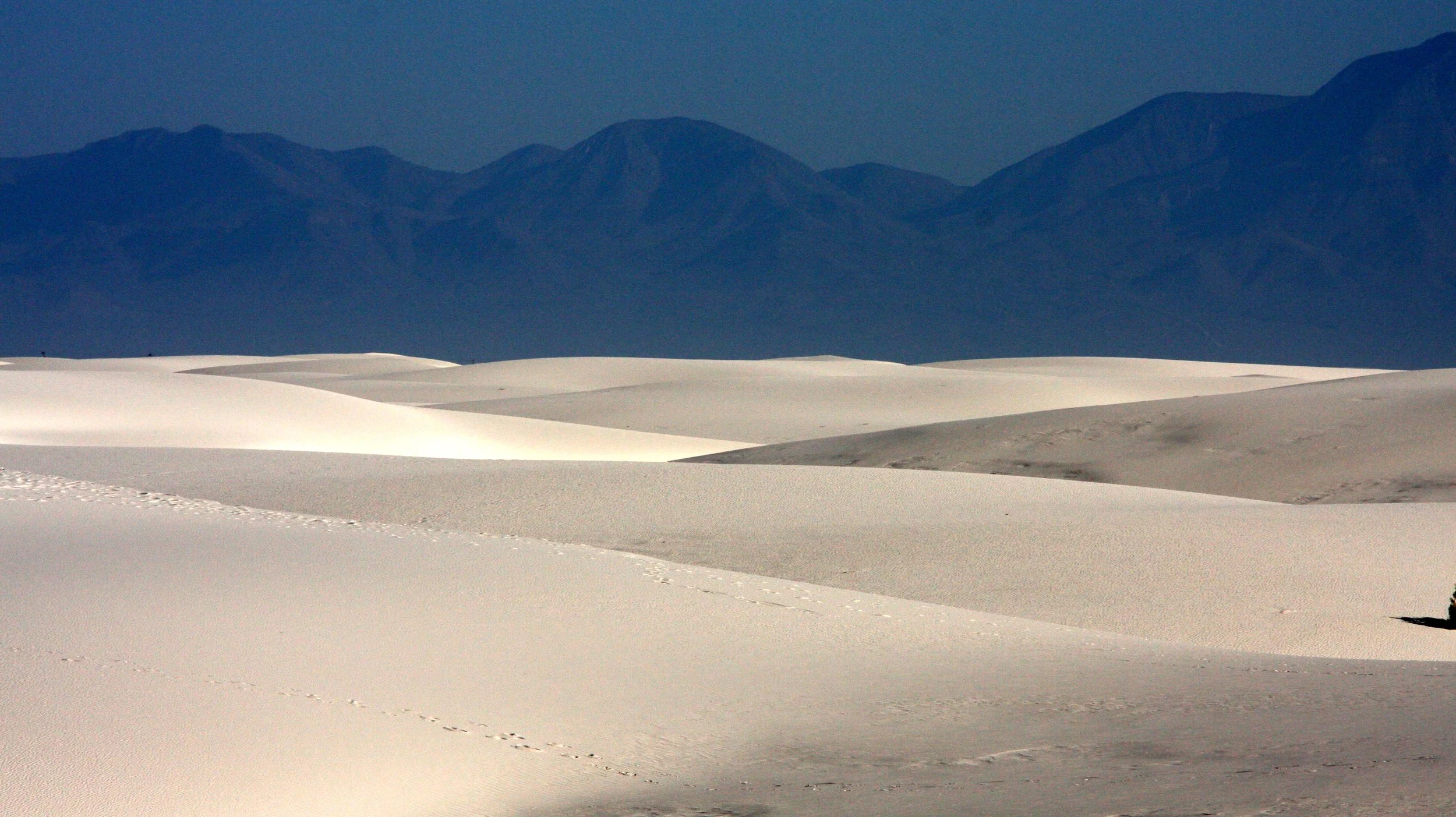 WHITE SANDS NATIONAL MONUMENT - JUNE 2010 (10).JPG