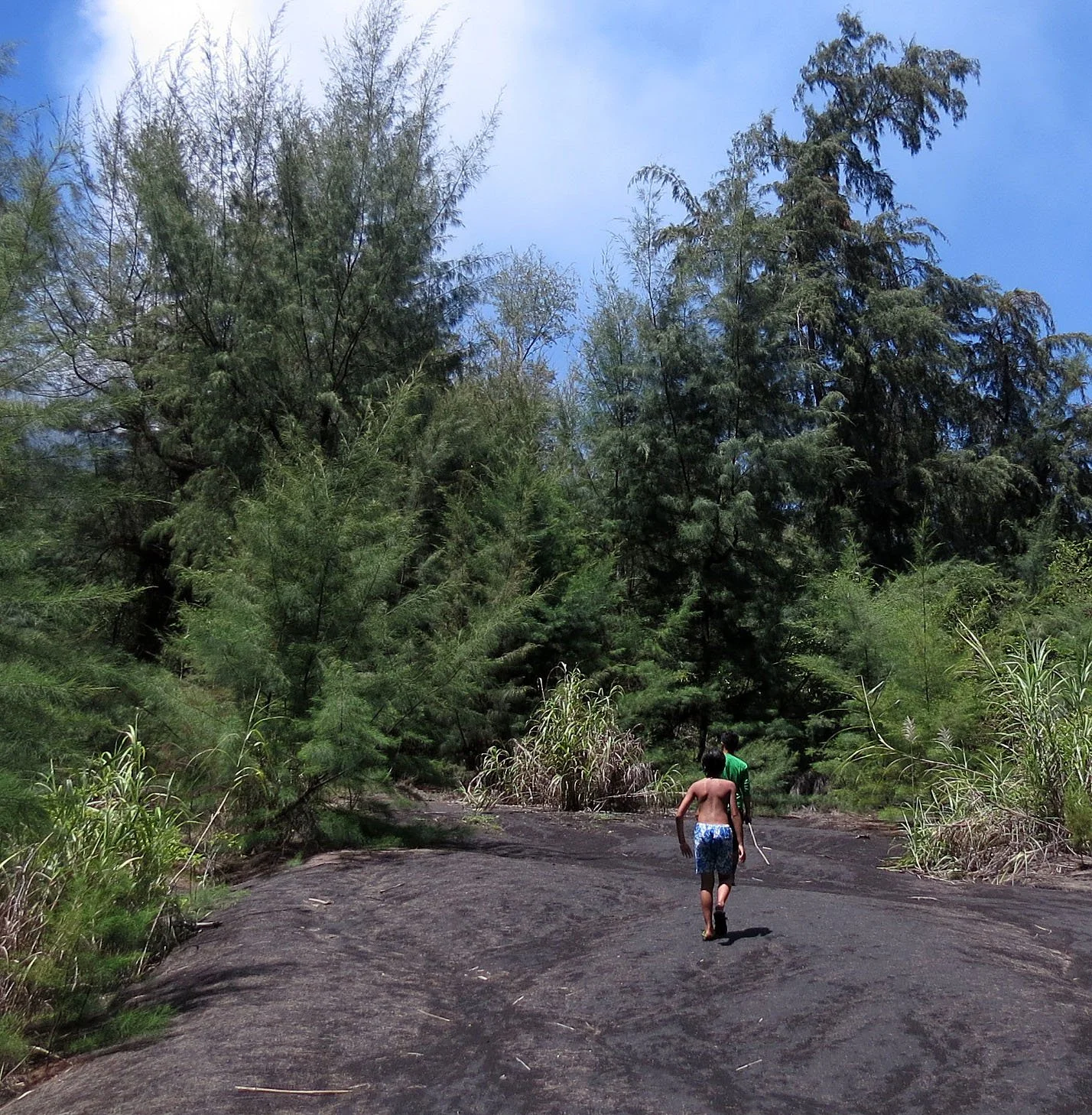 KRAKATAU NATIONAL PARK - JAVA BARAT INDONESIA (30).JPG