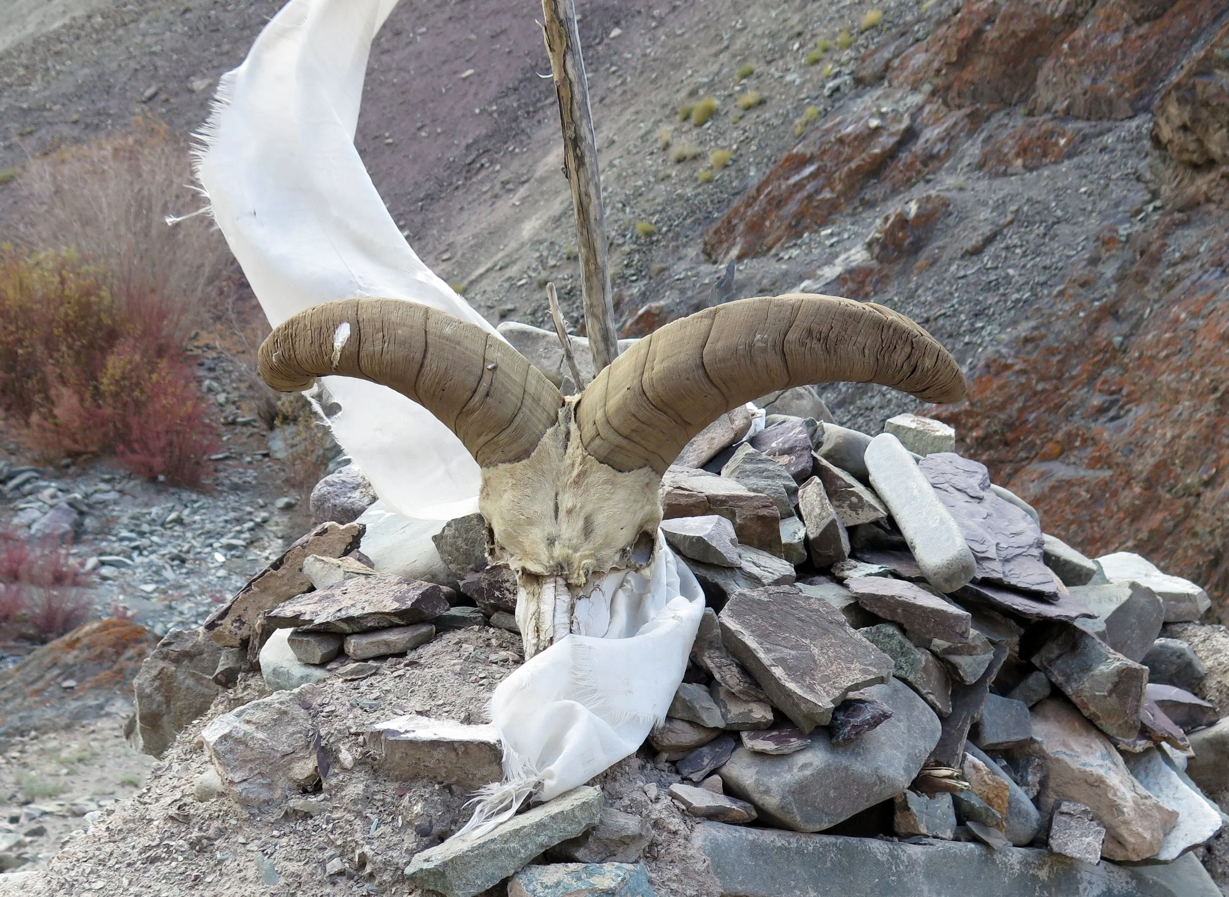HEMIS NATIONAL PARK - LADAKH INDIA - JAMMU & KASHMIR NEAR RUMBAK VILLAGE (554).JPG