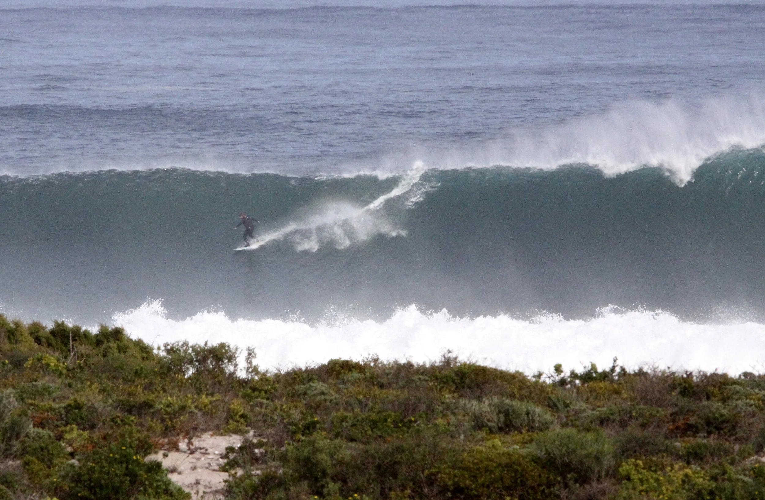 LAMBERT'S BAY SOUTH AFRICA - SURF'S UP! (5).JPG