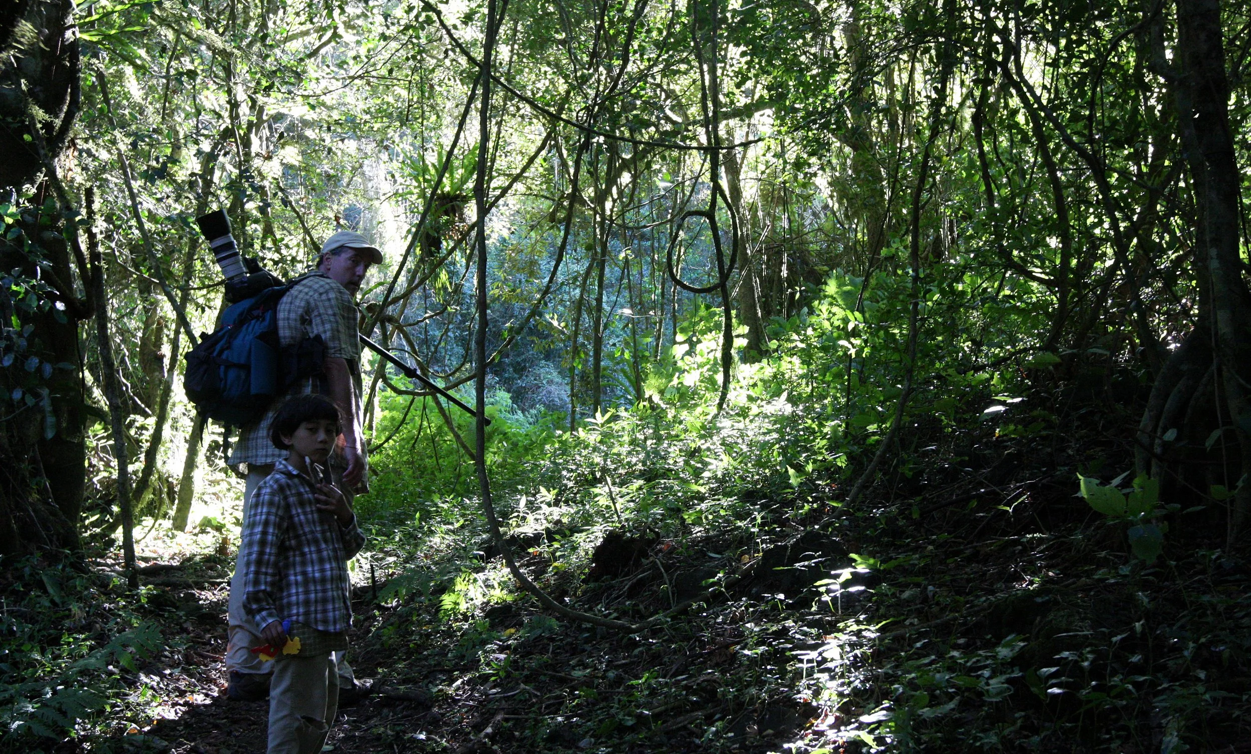 MONTAGNE D'AMBRE NATIONAL PARK - FOREST VIEWS (8).JPG