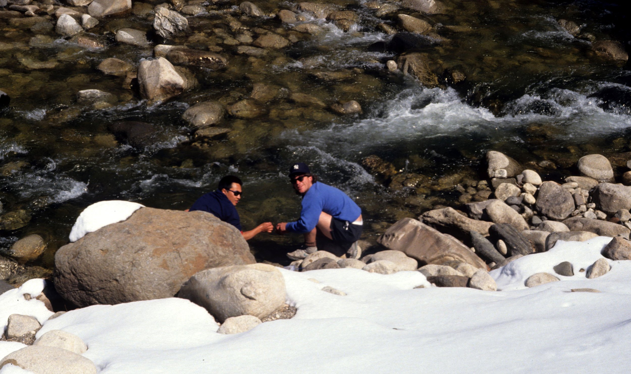 CALIFORNIA - SIERRA - EAST SIDE WITH ELK (5).jpg