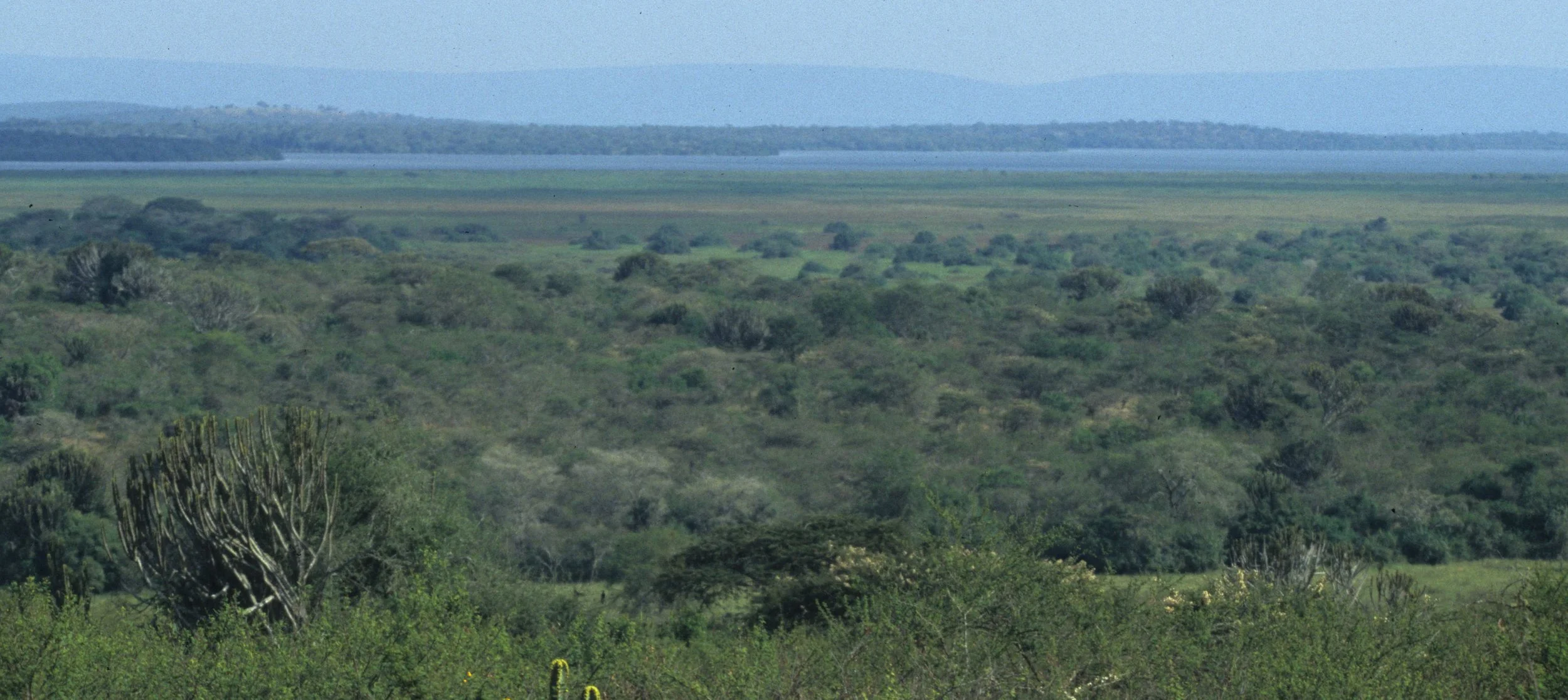 UGANDA - SCRUB FOREST B.jpg