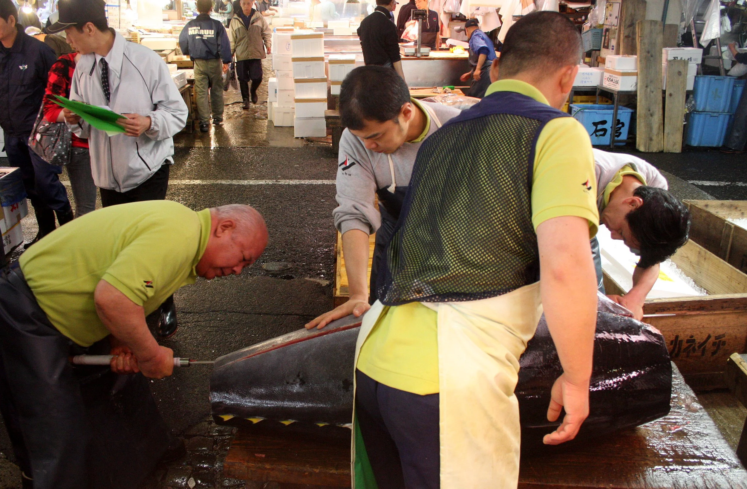 TOKYO - MAY 2009 - TSUKIJI MARKET (39).JPG