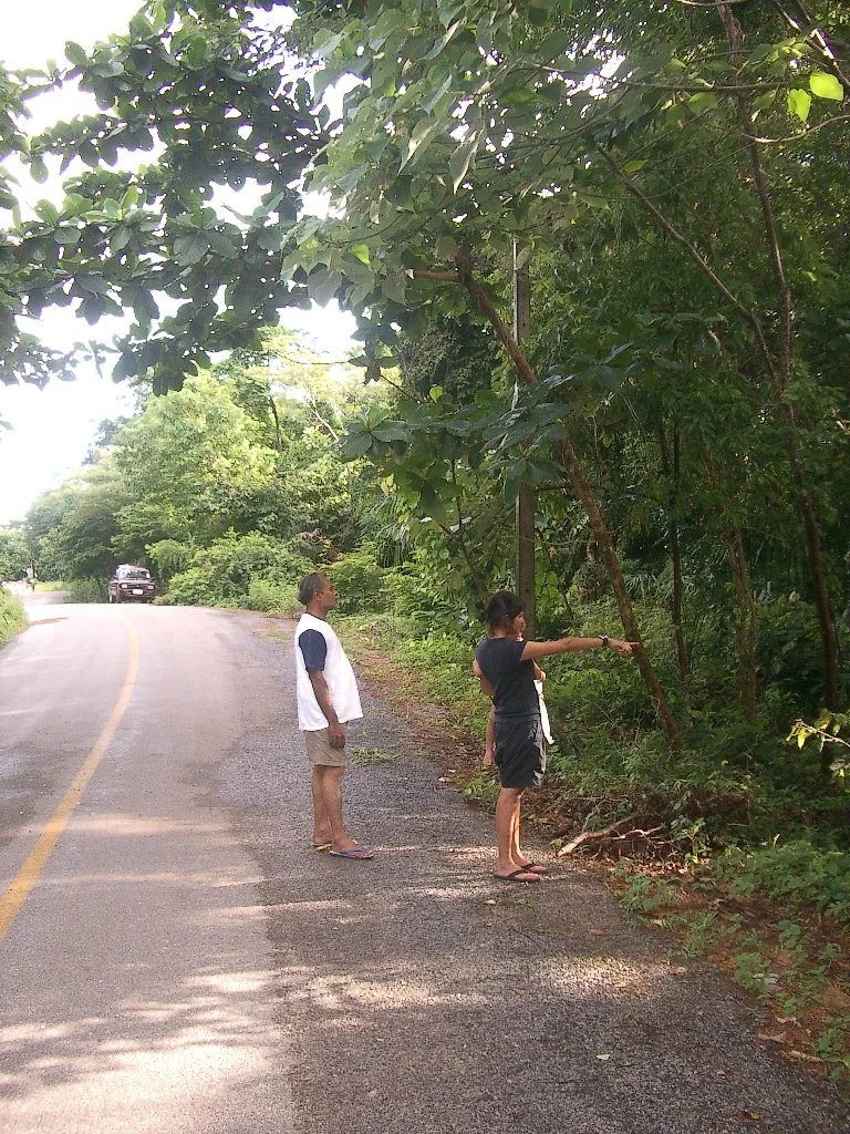 KOH LANTA - PROPERTY - 2004 (11).JPG