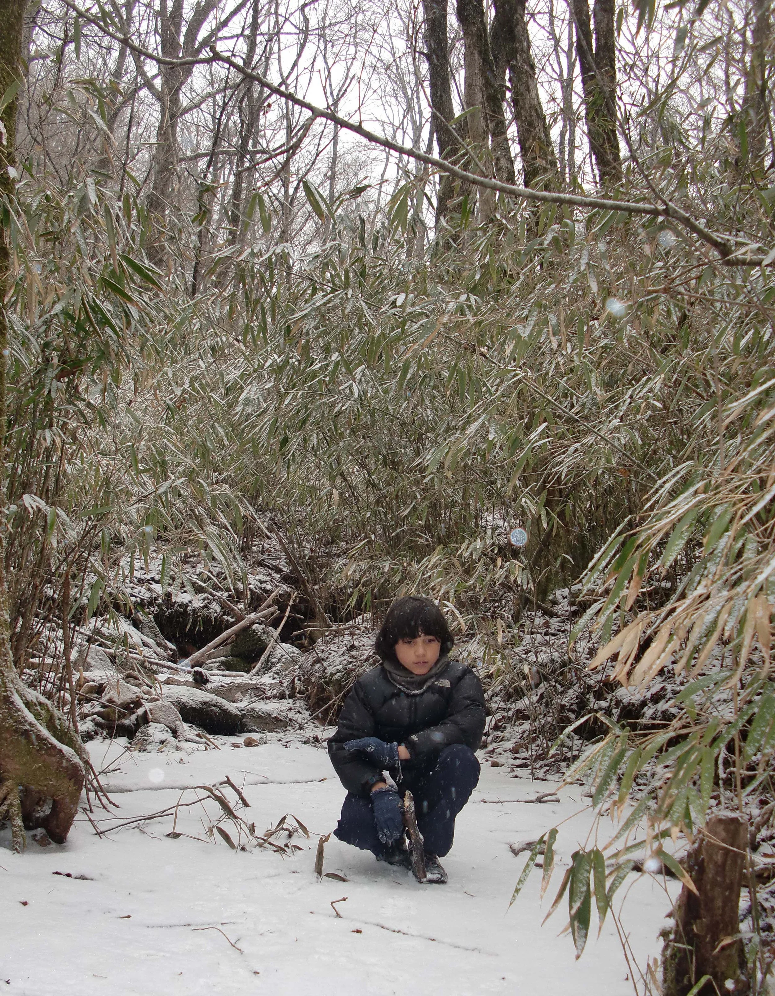 FOPING NATURE RESERVE - SHAANXI PROVINCE CHINA (51).JPG