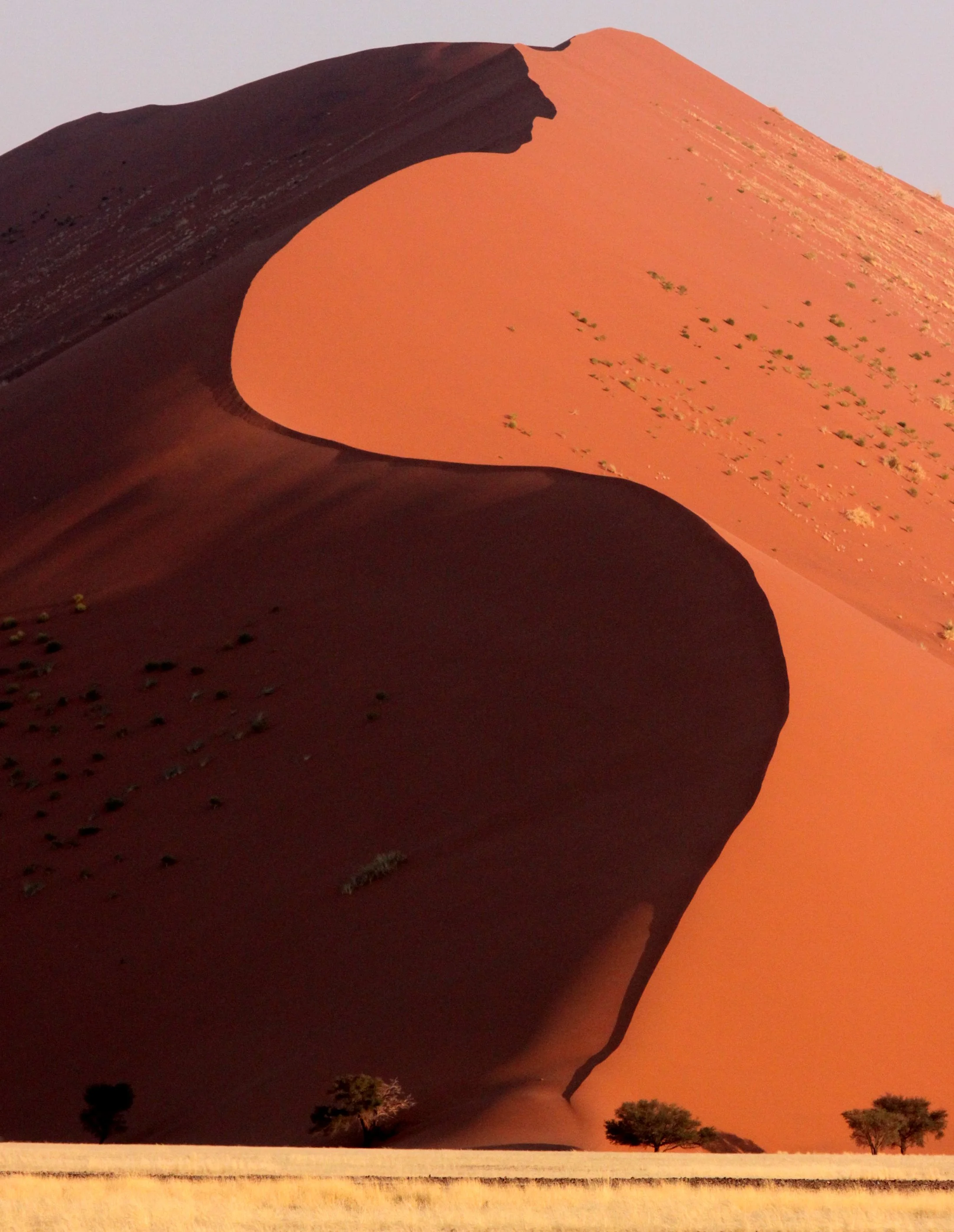 SOSSUSVLEI, NAMIB NAUKLUFT NATIONAL PARK, NAMIBIA (64).JPG