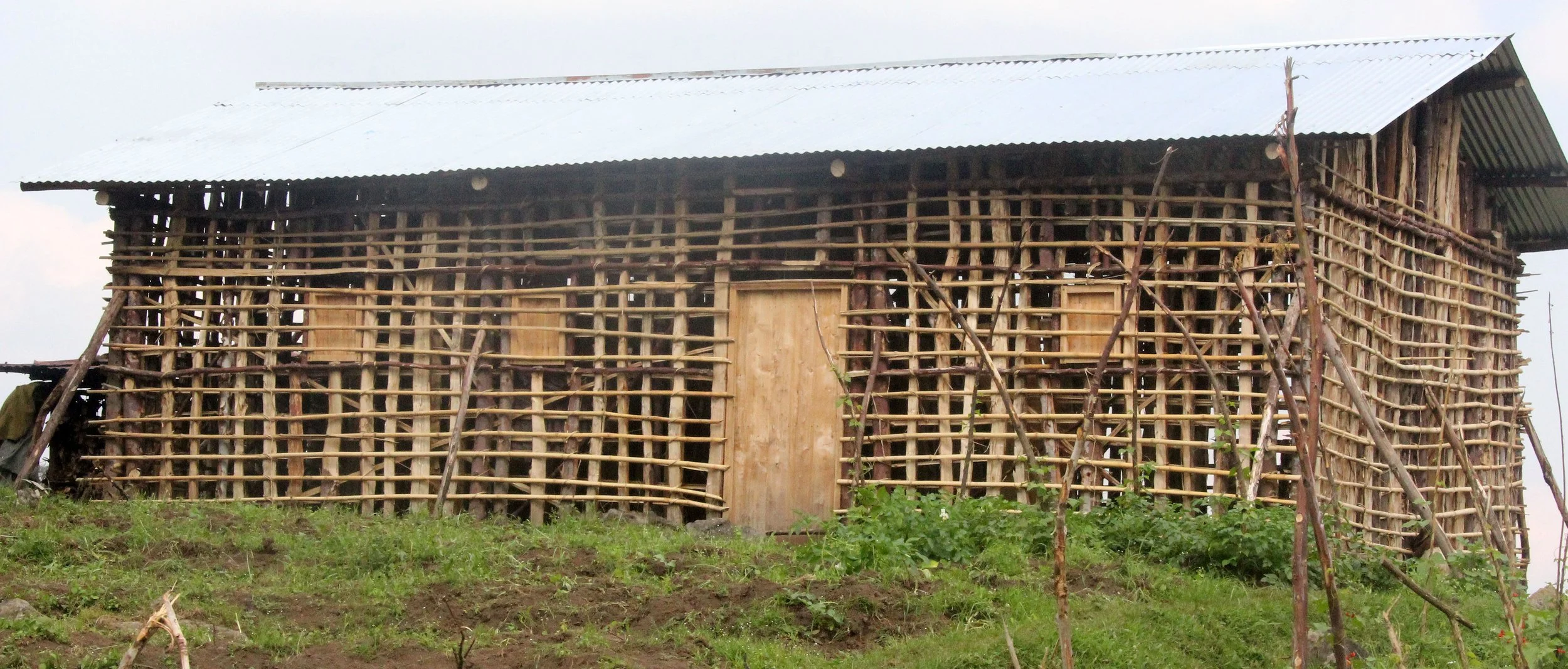 PARC DU VULCANS RWANDA 2012 (594).JPG