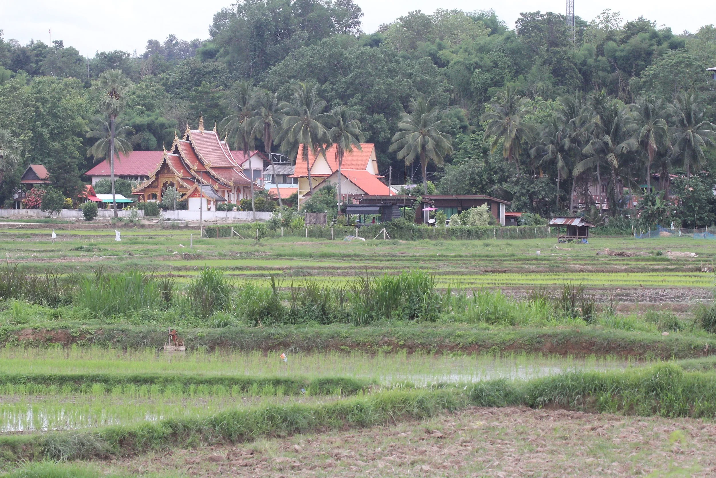 2020 4-5 July Wat Phrathat Beng Sakat North Thailand Tirp (34).JPG