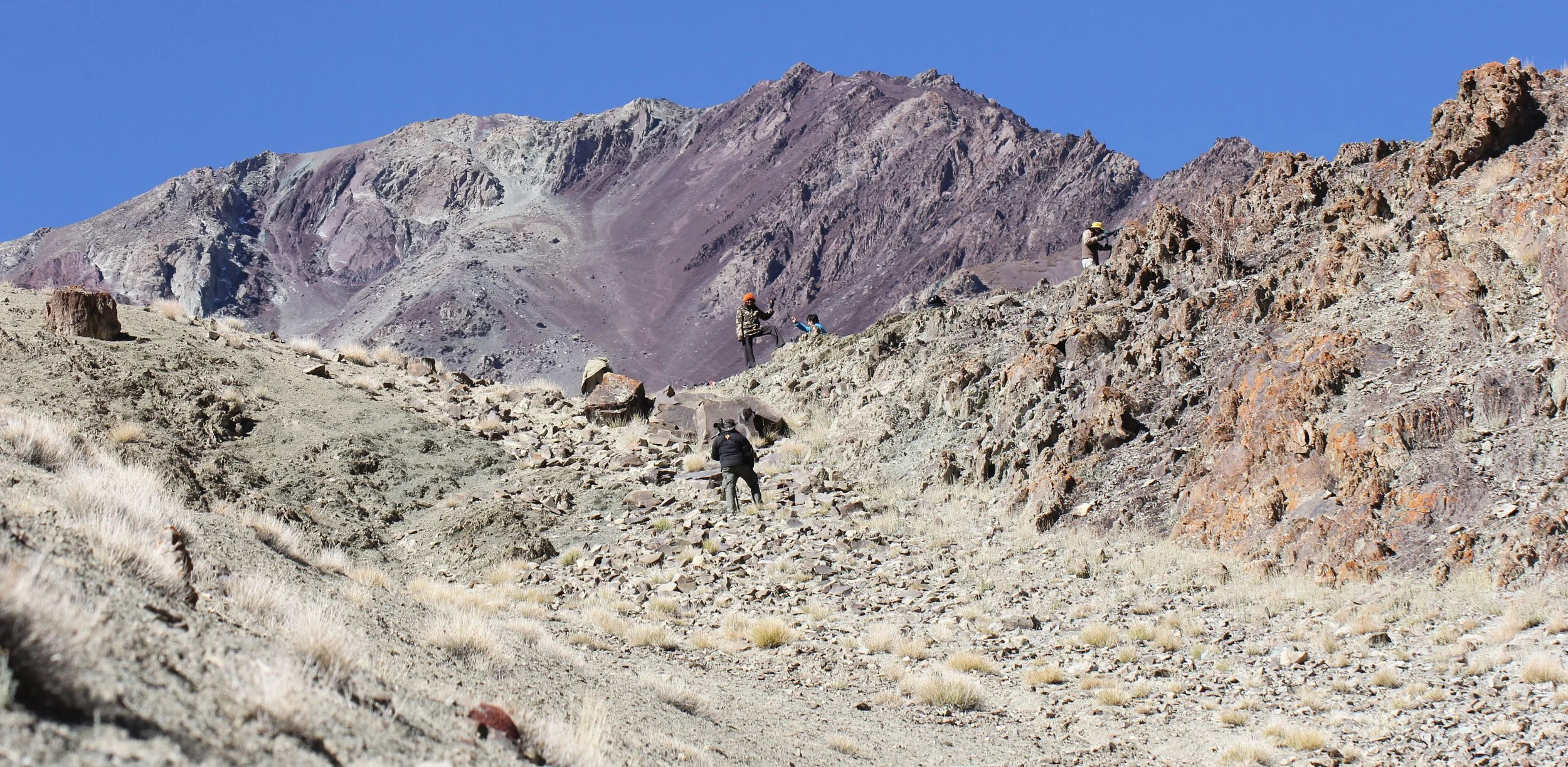 HEMIS NATIONAL PARK - LADAKH INDIA - JAMMU & KASHMIR NEAR RUMBAK VILLAGE (246).JPG