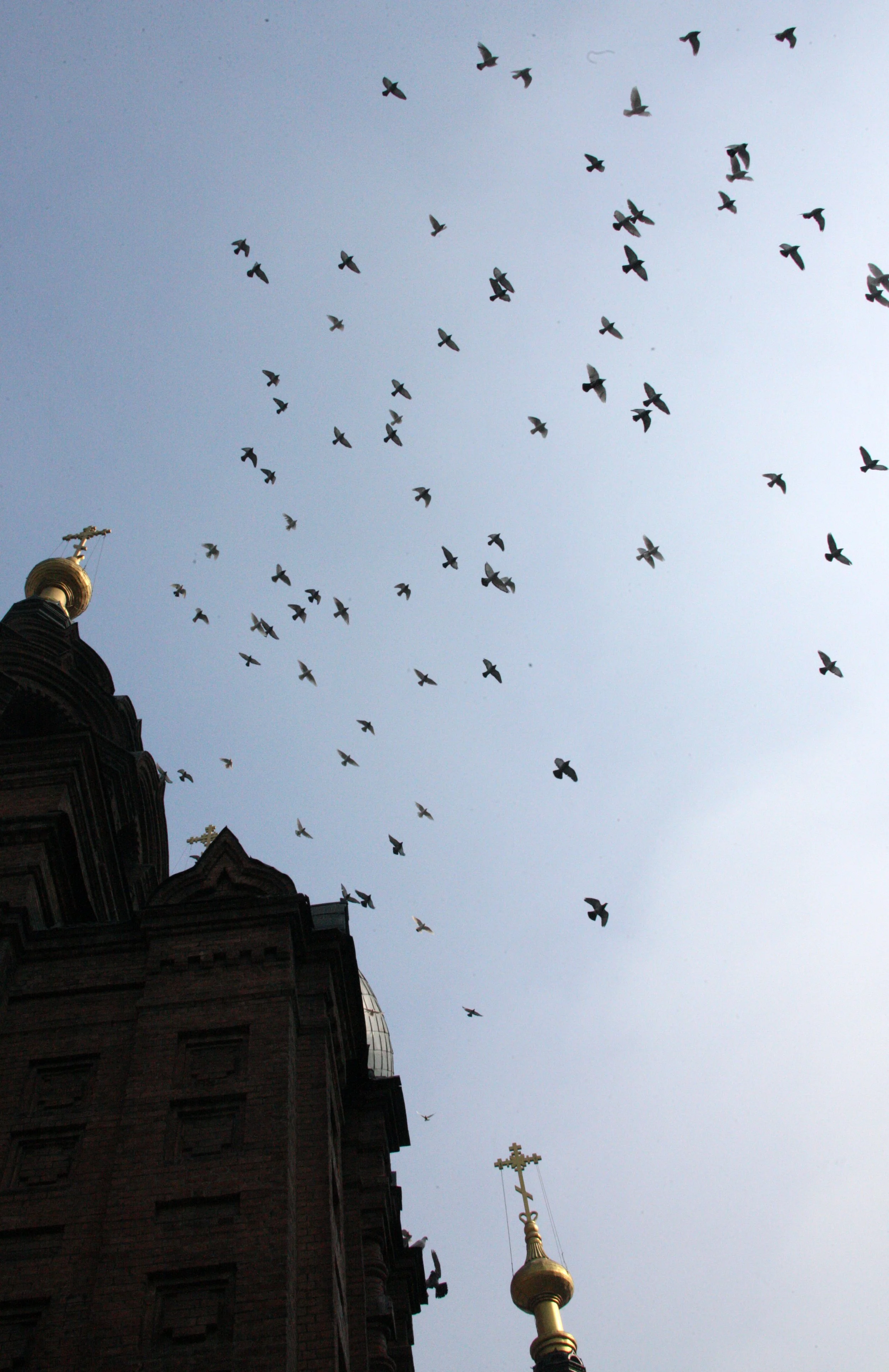 SAINT SOPHIA'S CATHEDRAL HARBIN CHINA (78).JPG