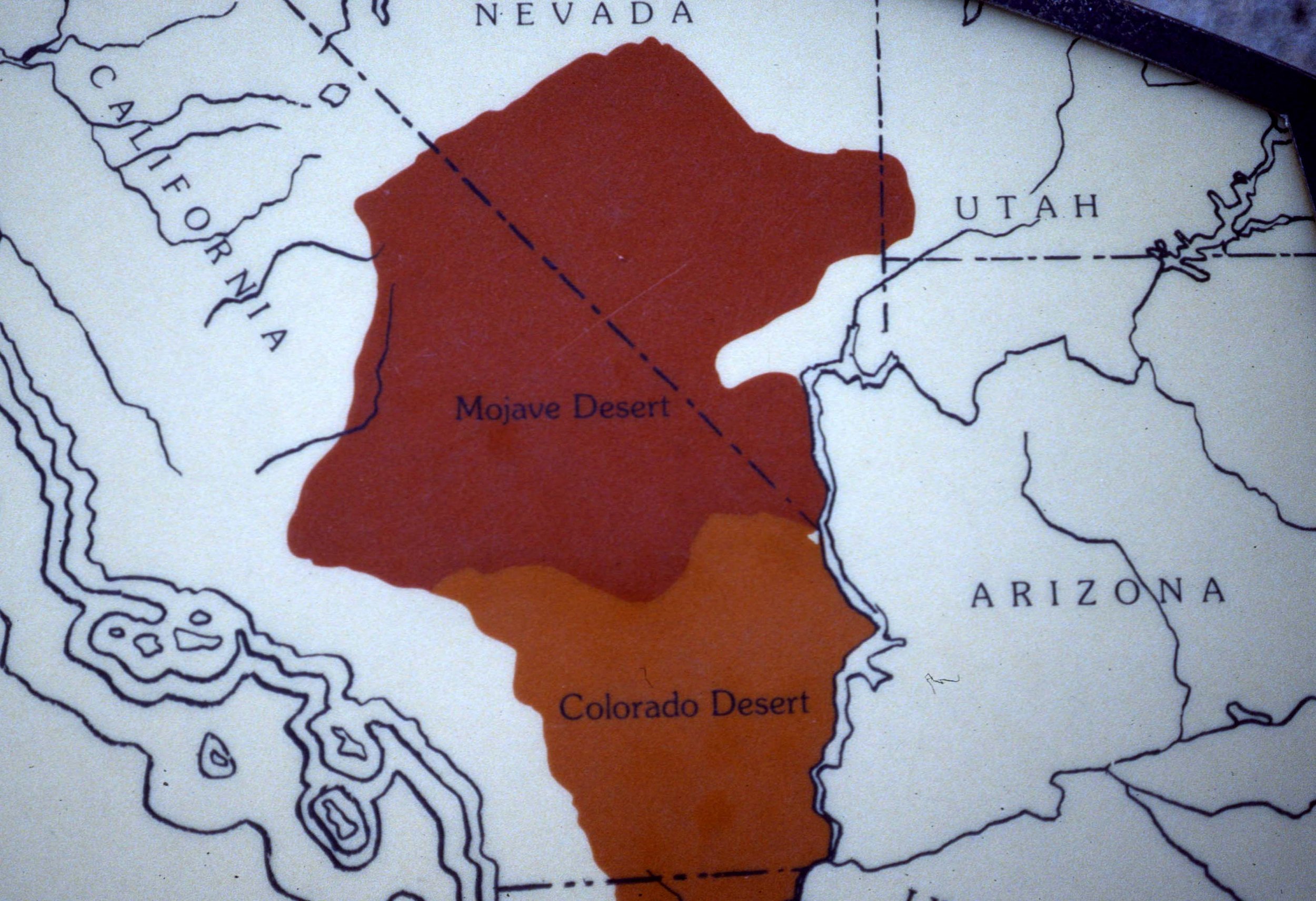 CALIFORNIA - DESERT TYPES.jpg