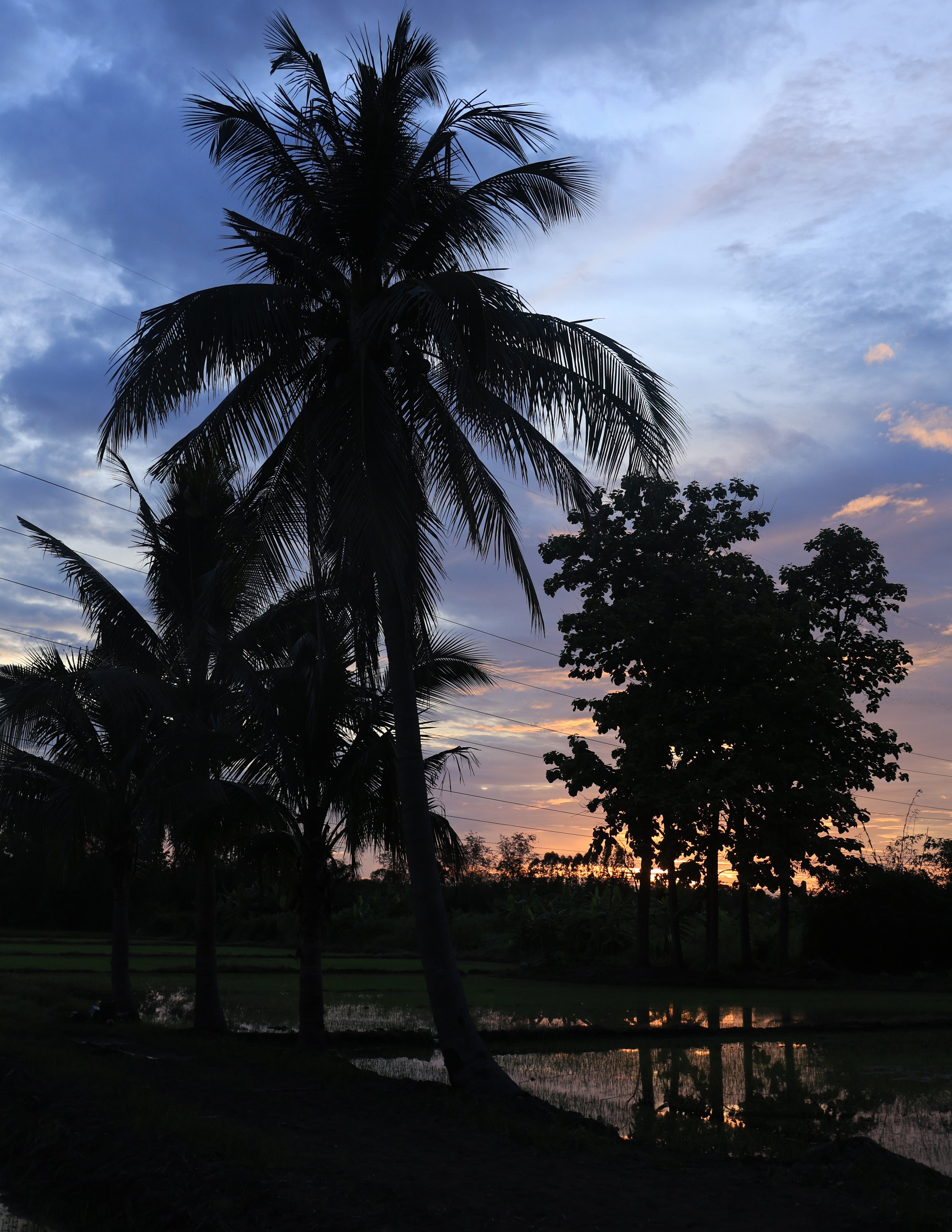 Khao Nor Khao Kaew Bat Viewing Nakhon Sawan (59).jpg