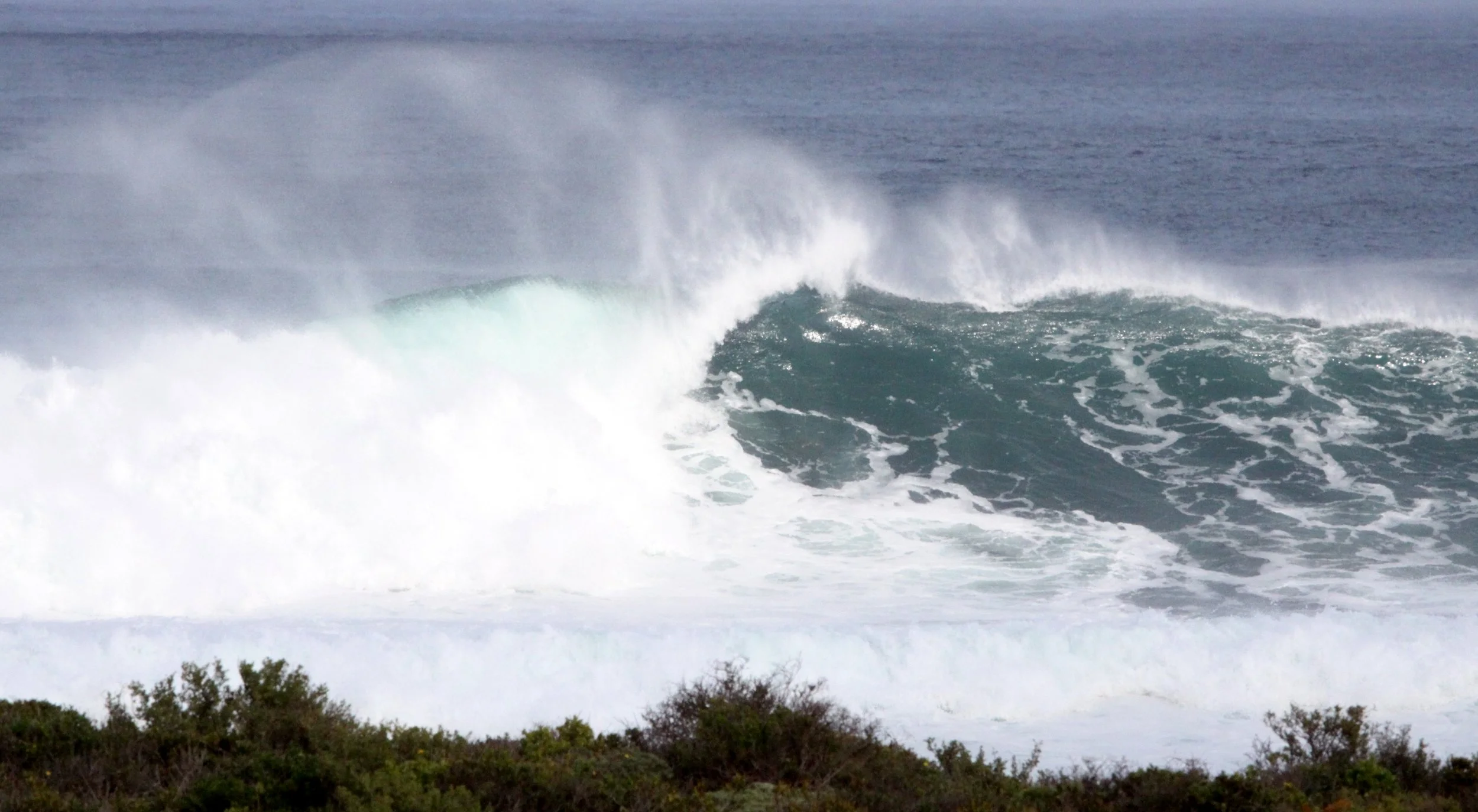 LAMBERT'S BAY SOUTH AFRICA - SURF'S UP! (20).JPG