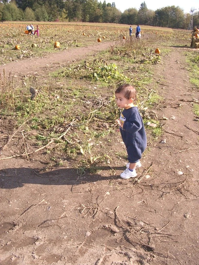 2003-10-26 PUMPKIN PATCH PORT ANGELES (11).JPG
