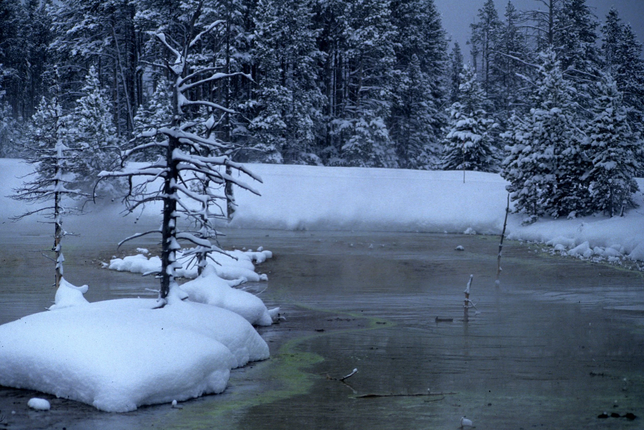 YELLOWSTONE IN WINTER B.jpg