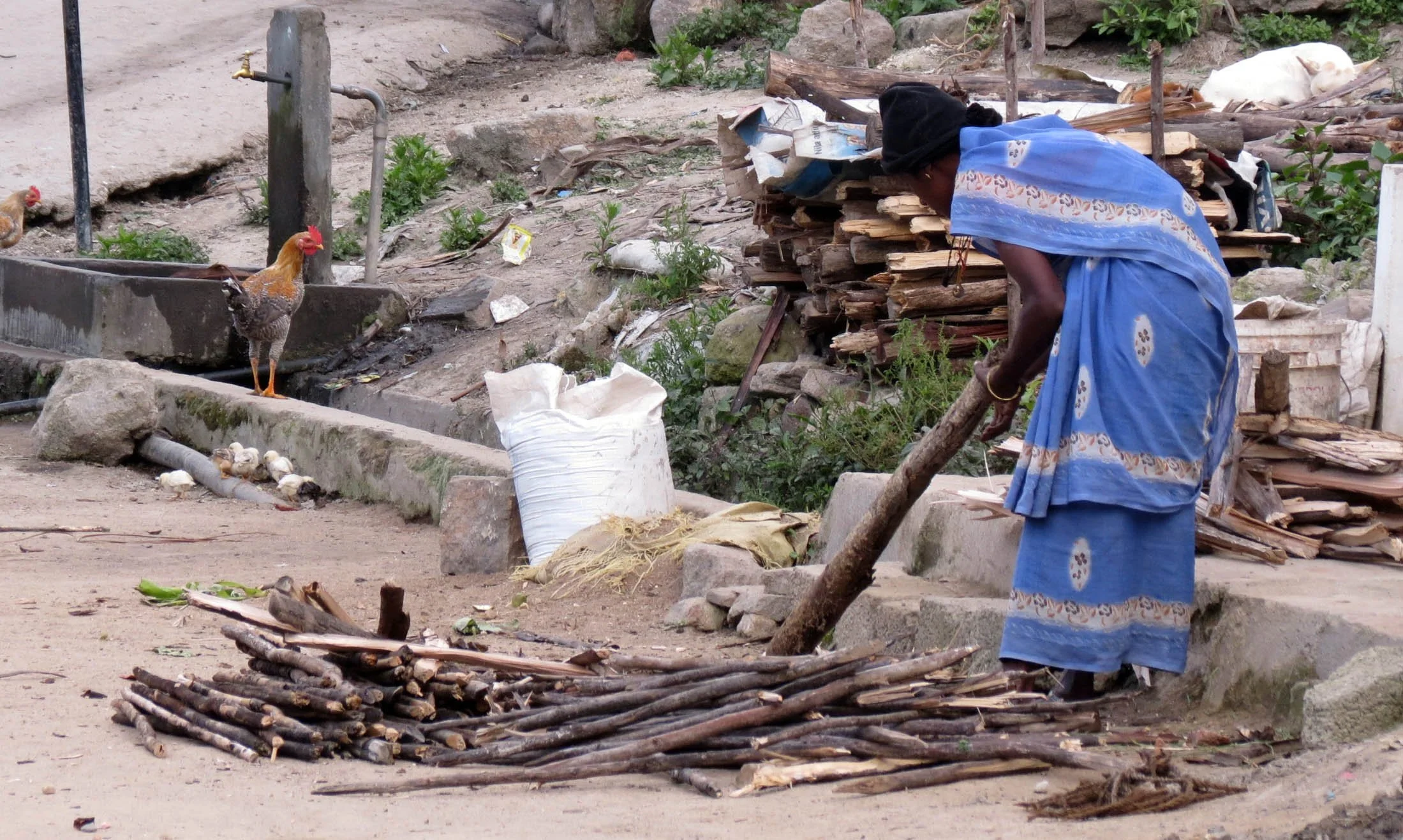 PAMPADUM SHOLA NATIONAL PARK INDIA - VATTAVADA (18).JPG