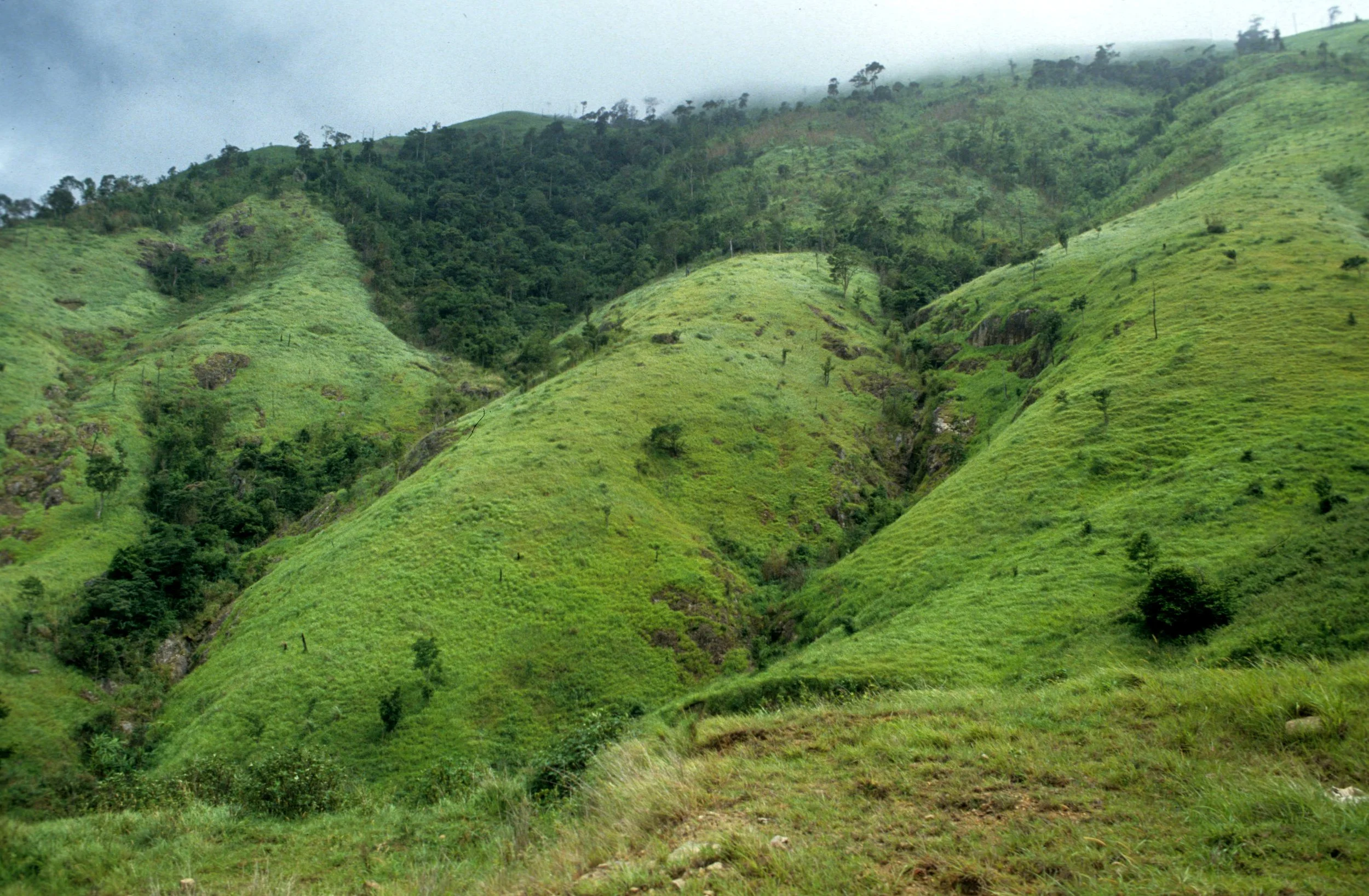 CENTRAL HIGHLANDS - DENUDED HILLSIDES.jpg