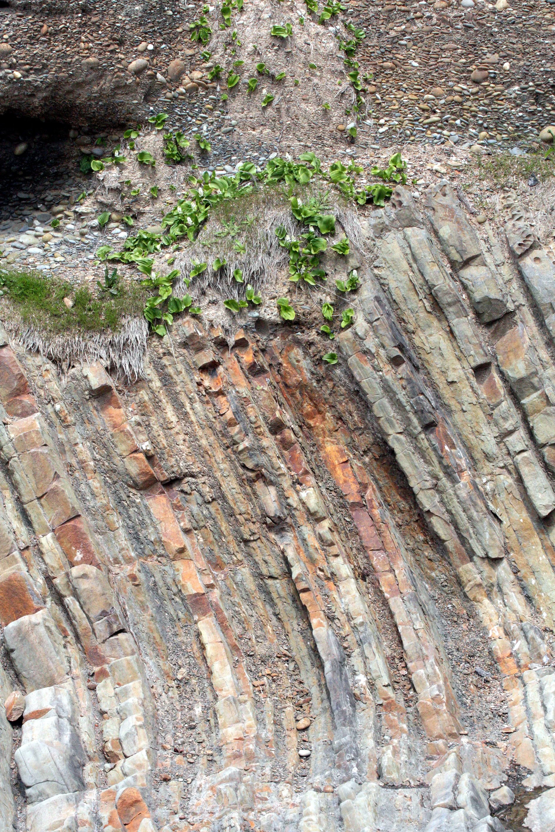 GEOLOGY - SEDIMENTARY ROCKS WITH RECENT SEDIMENT DEPOSITIONS SUPERPOSITIONED - BEACH FOUR ONP (2).JPG