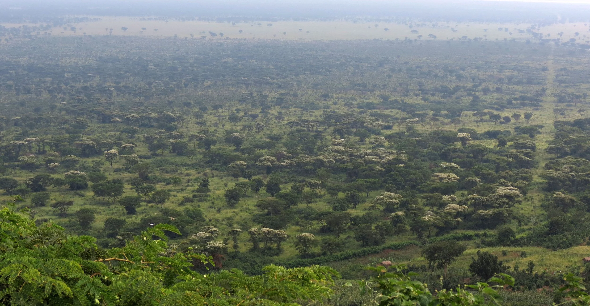 QUEEN ELIZABETH NATIONAL PARK UGANDA (19).JPG