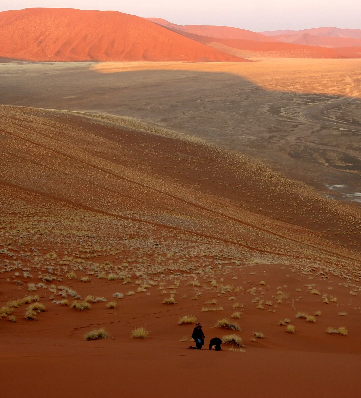 NAMIBIA - SOSSUSVLEI - DUNES - NAMIBIA (7).JPG