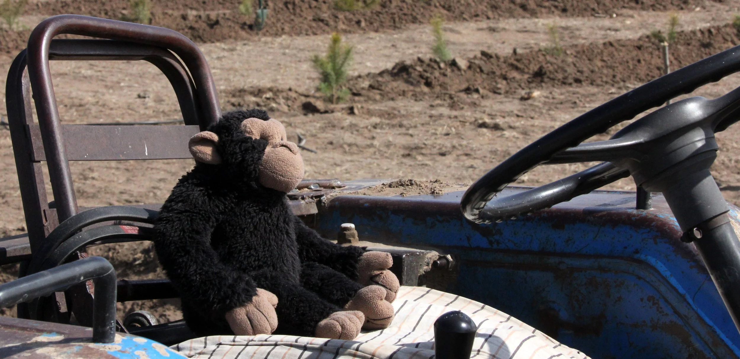 INNER MONGOLIA 2013 (93).JPG