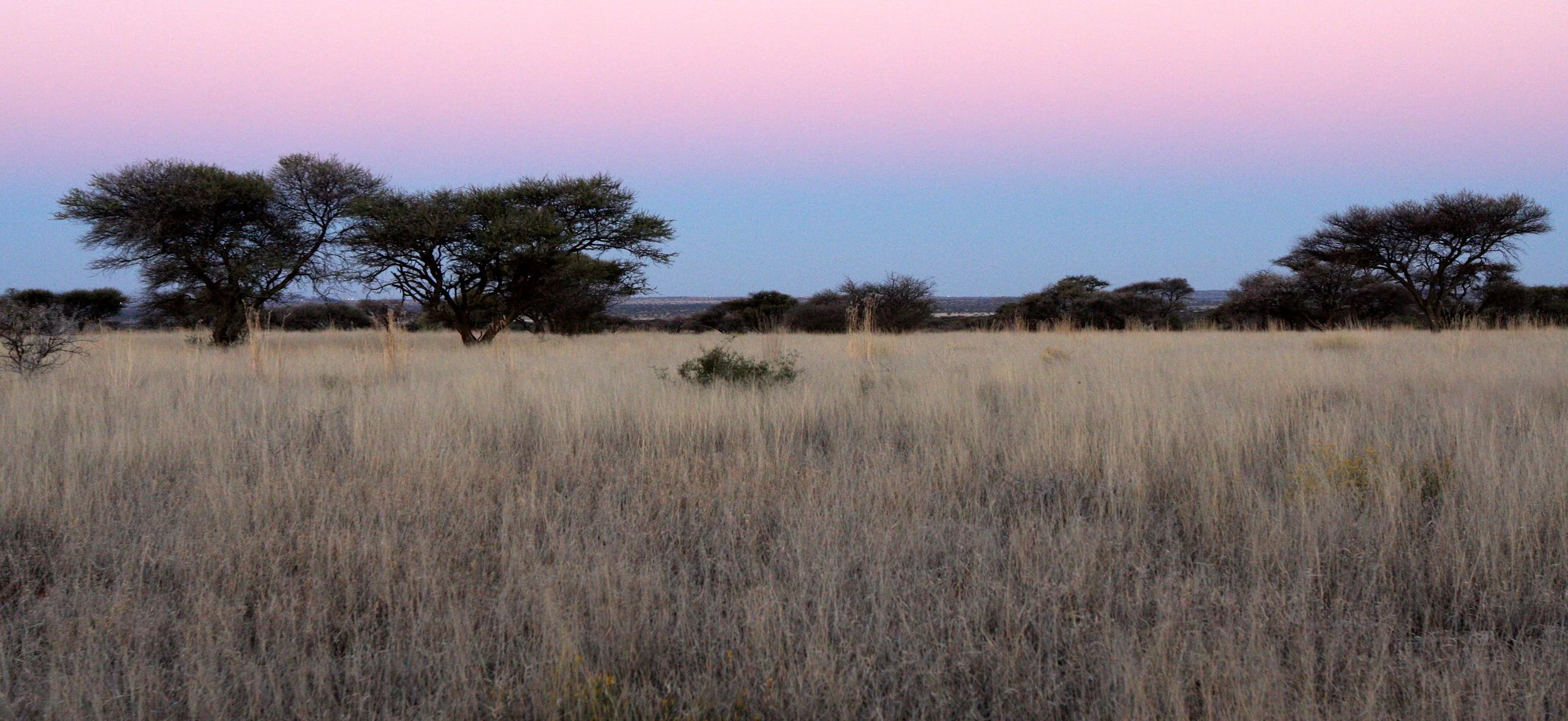 KIMBERLY SOUTH AFRICA - MARRICK CAMP (6).JPG