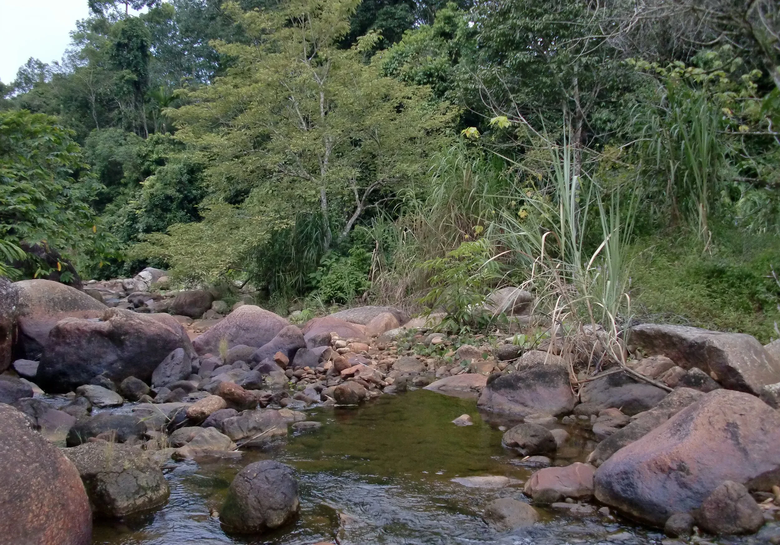 2010-7-15 HANGING IN NAKHON AND PROMLUK (10).JPG