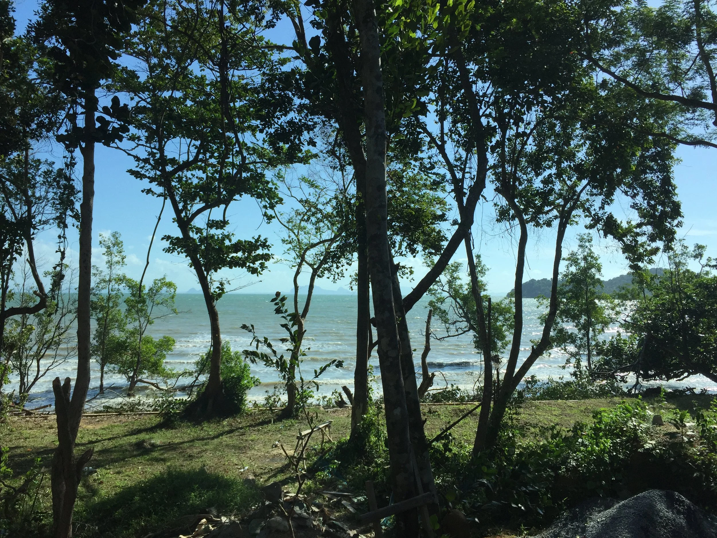 2015 Koh Lanta Garden & Nature (283).JPG