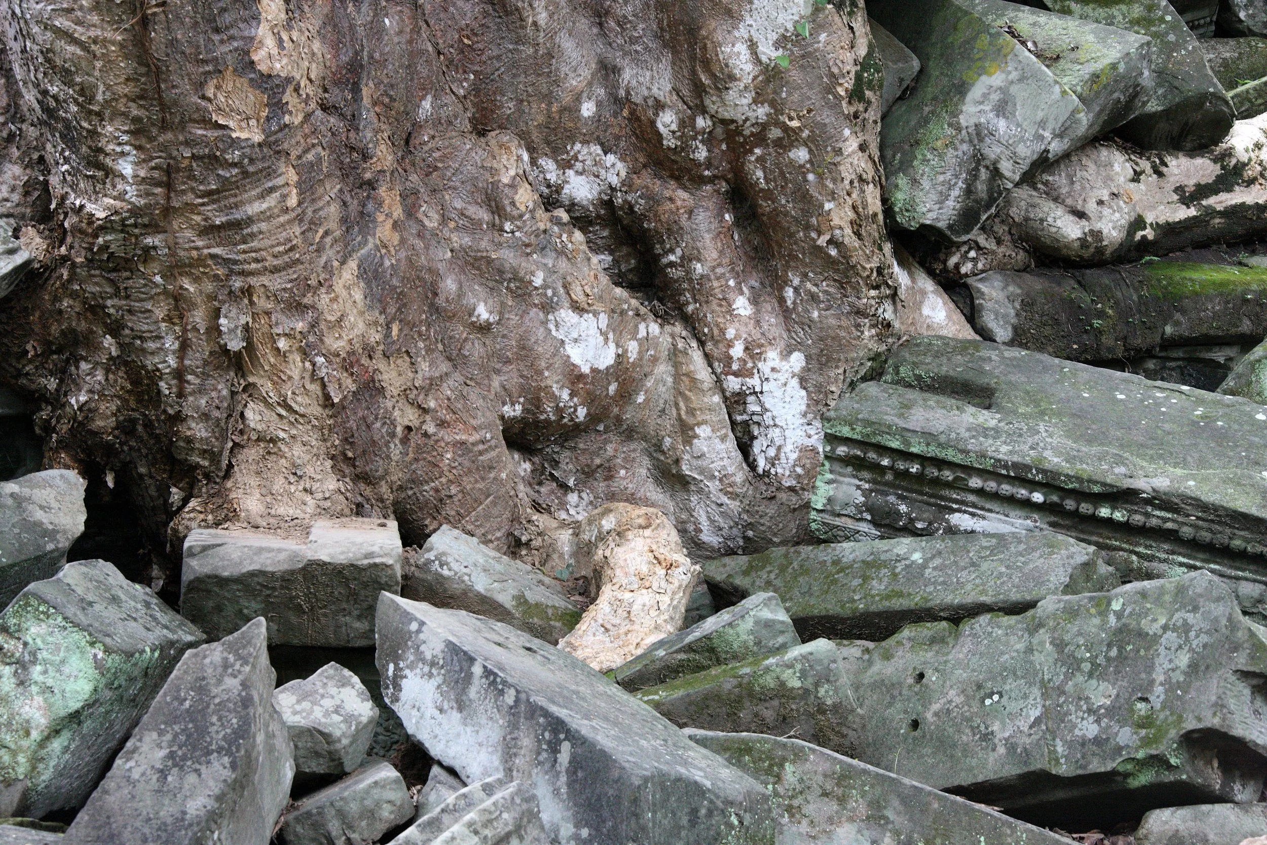 BENG MEALEA - CAMBODIA - JULY 2010 (12).JPG