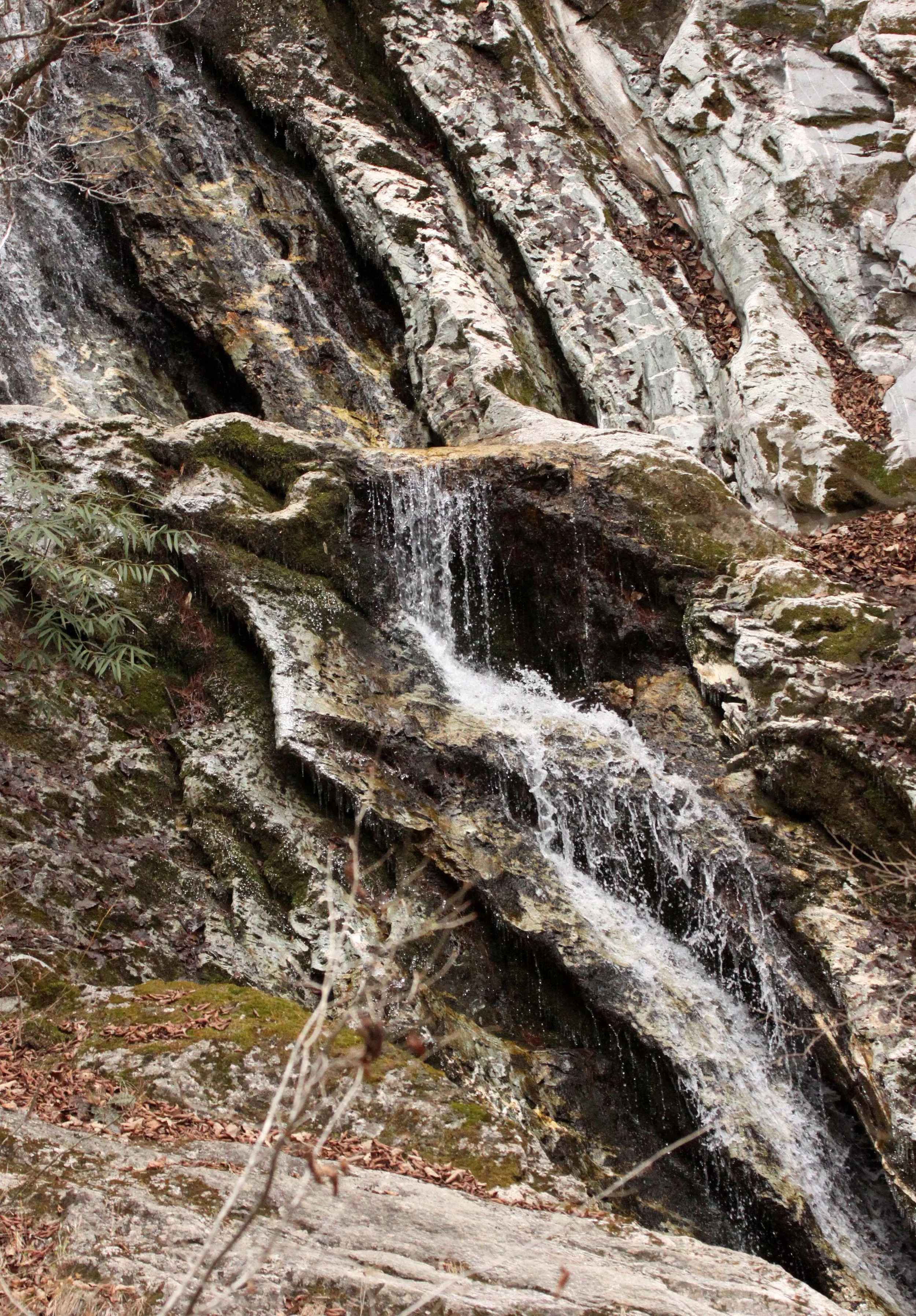 FOPING NATURE RESERVE - SHAANXI PROVINCE CHINA (101).JPG